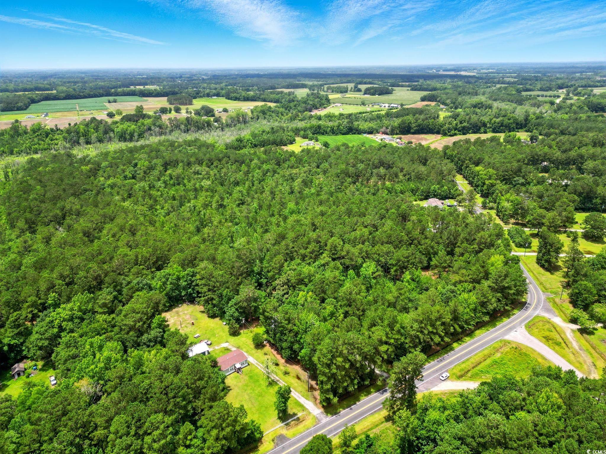 TBD Little Bethel Rd., Green Sea, South Carolina image 2