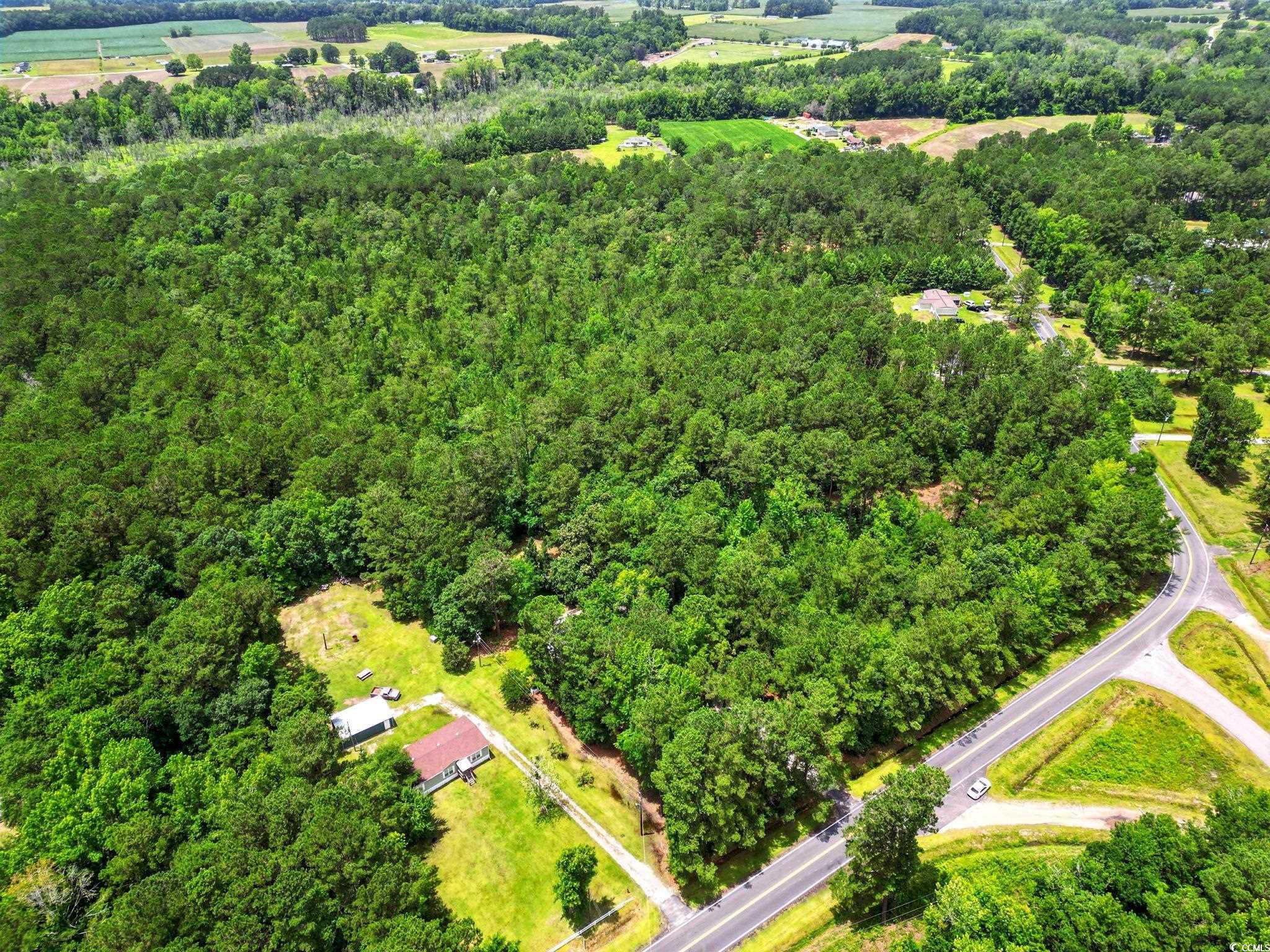 TBD Little Bethel Rd., Green Sea, South Carolina image 3