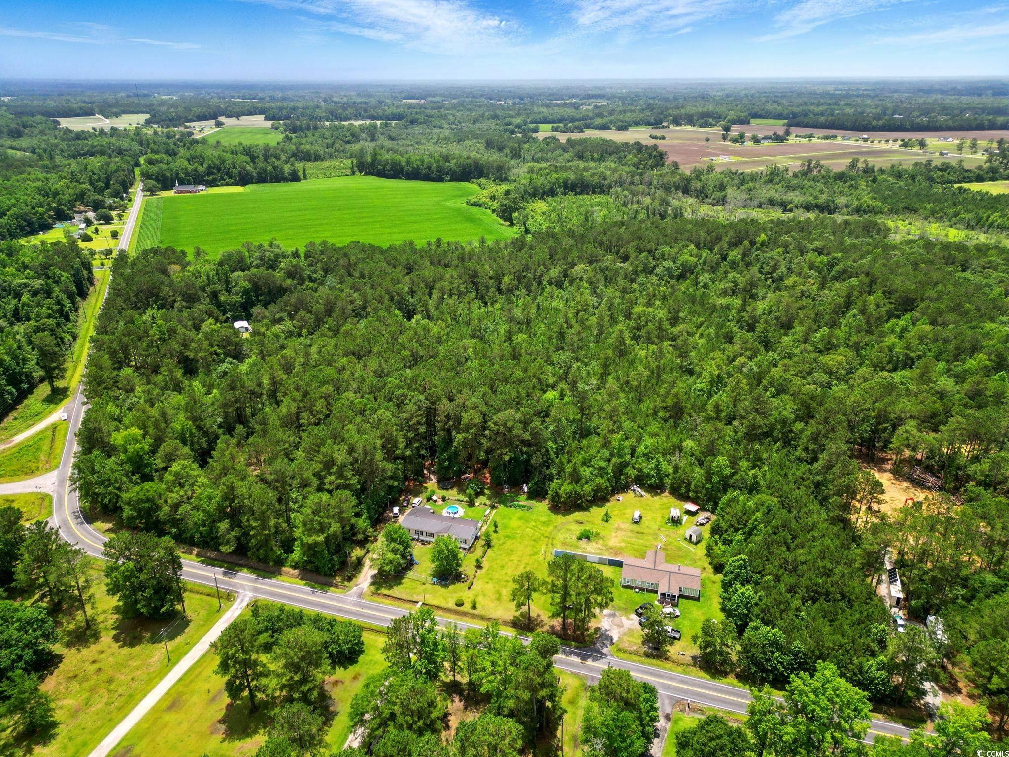 TBD Little Bethel Rd., Green Sea, South Carolina image 6
