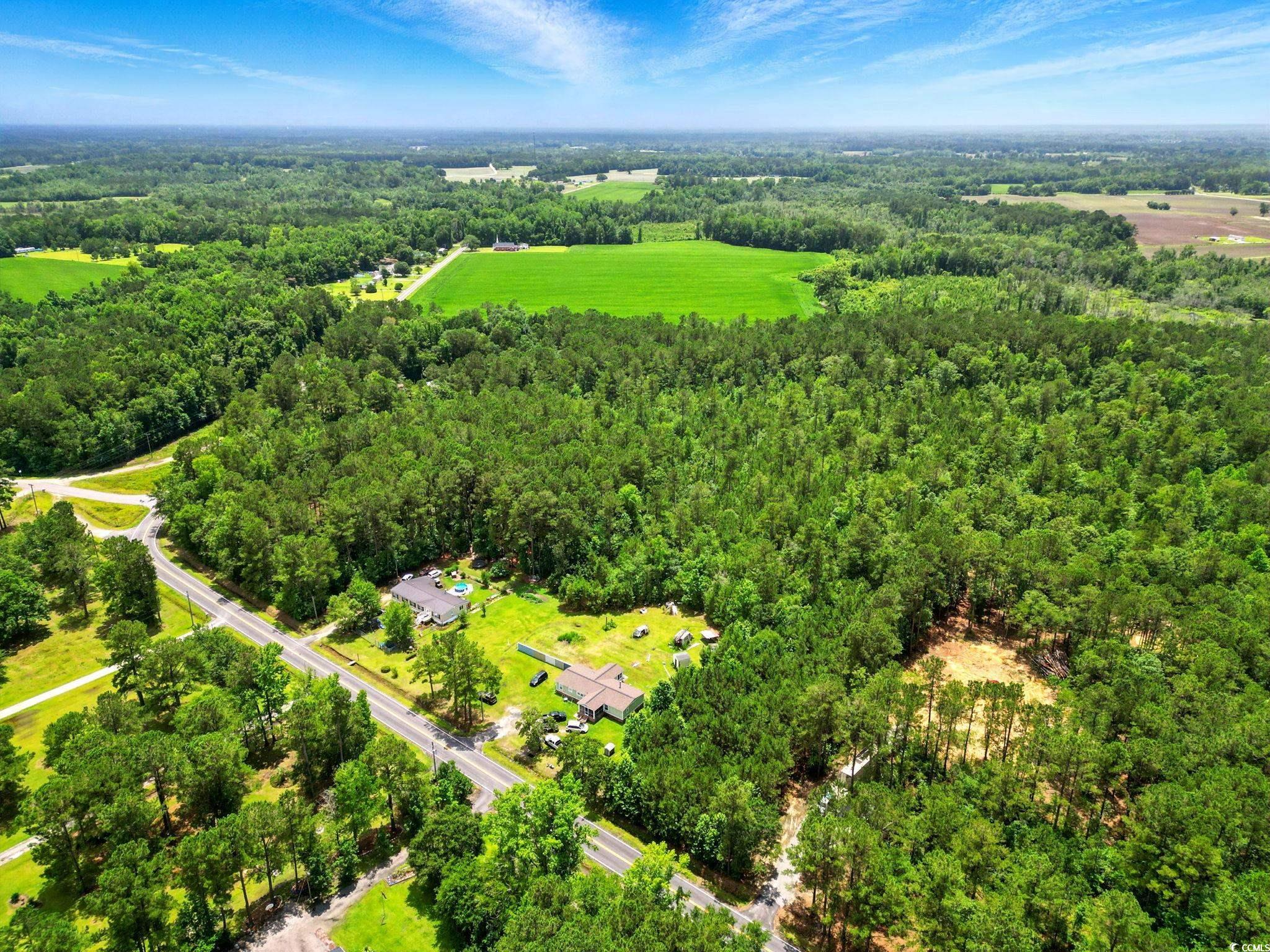 TBD Little Bethel Rd., Green Sea, South Carolina image 7