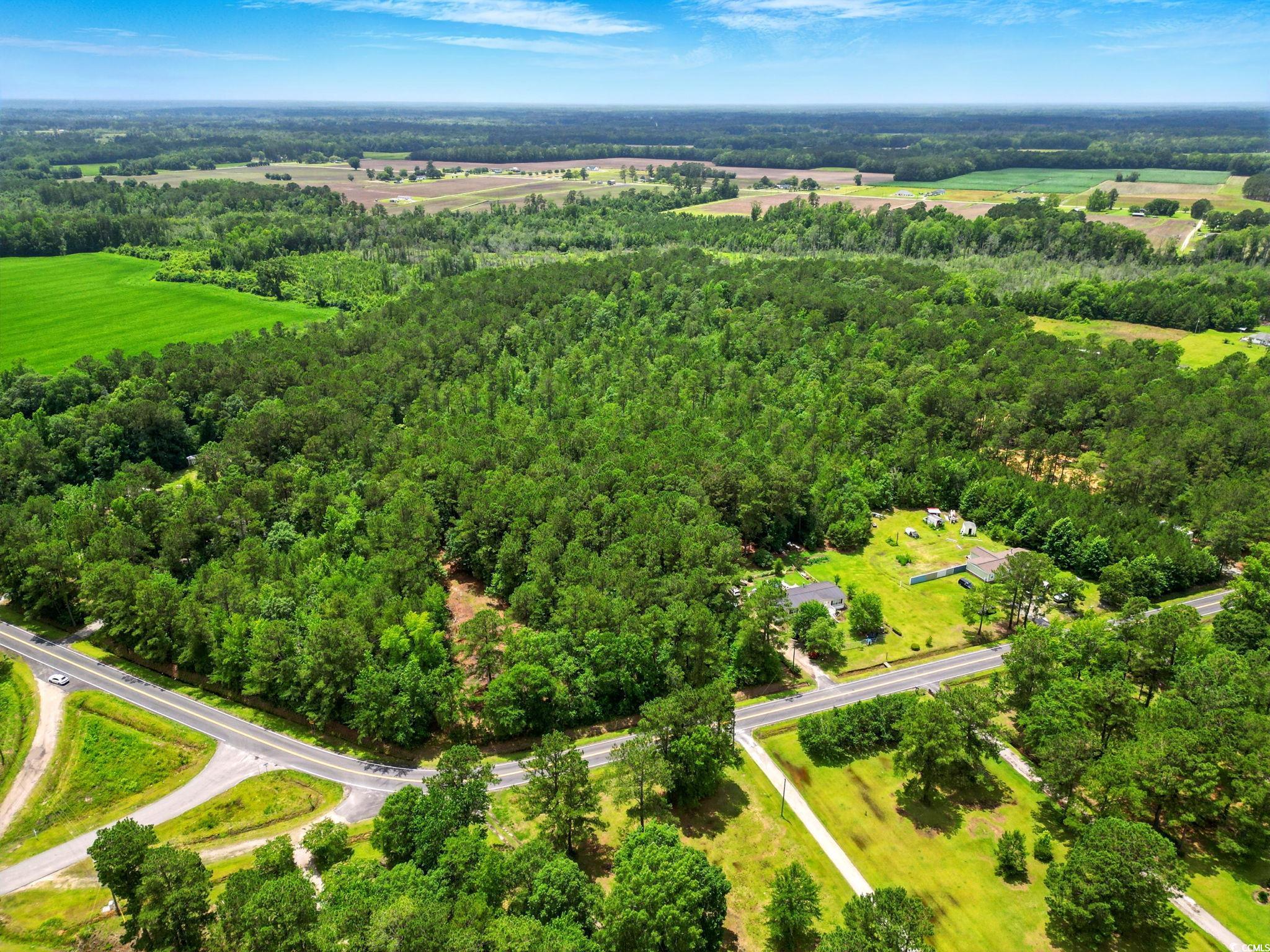 TBD Little Bethel Rd., Green Sea, South Carolina image 9