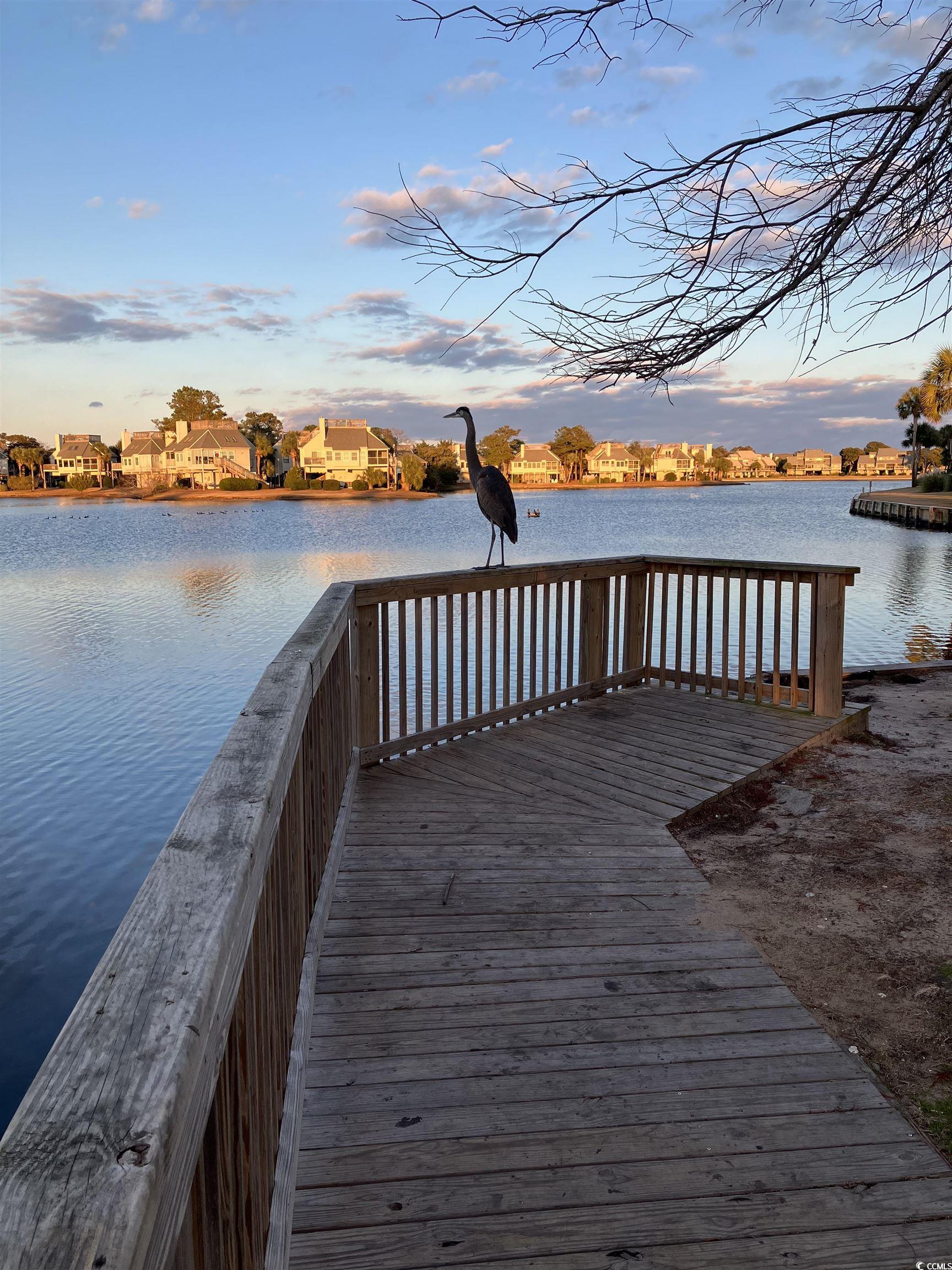 417 S Dunes Dr., Pawleys Island, South Carolina image 27