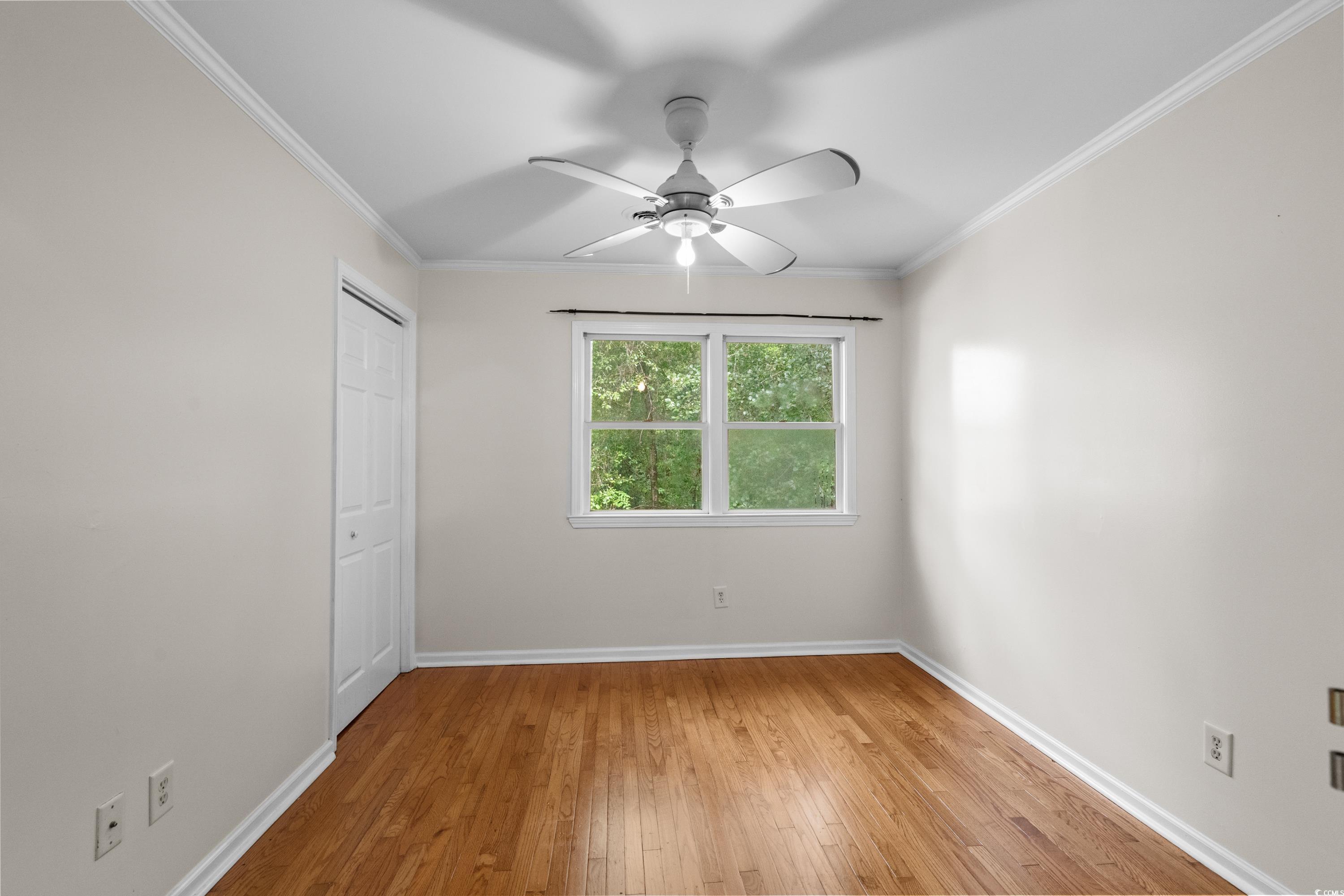 3534 Nichols Hwy., Galivants Ferry, South Carolina image 13