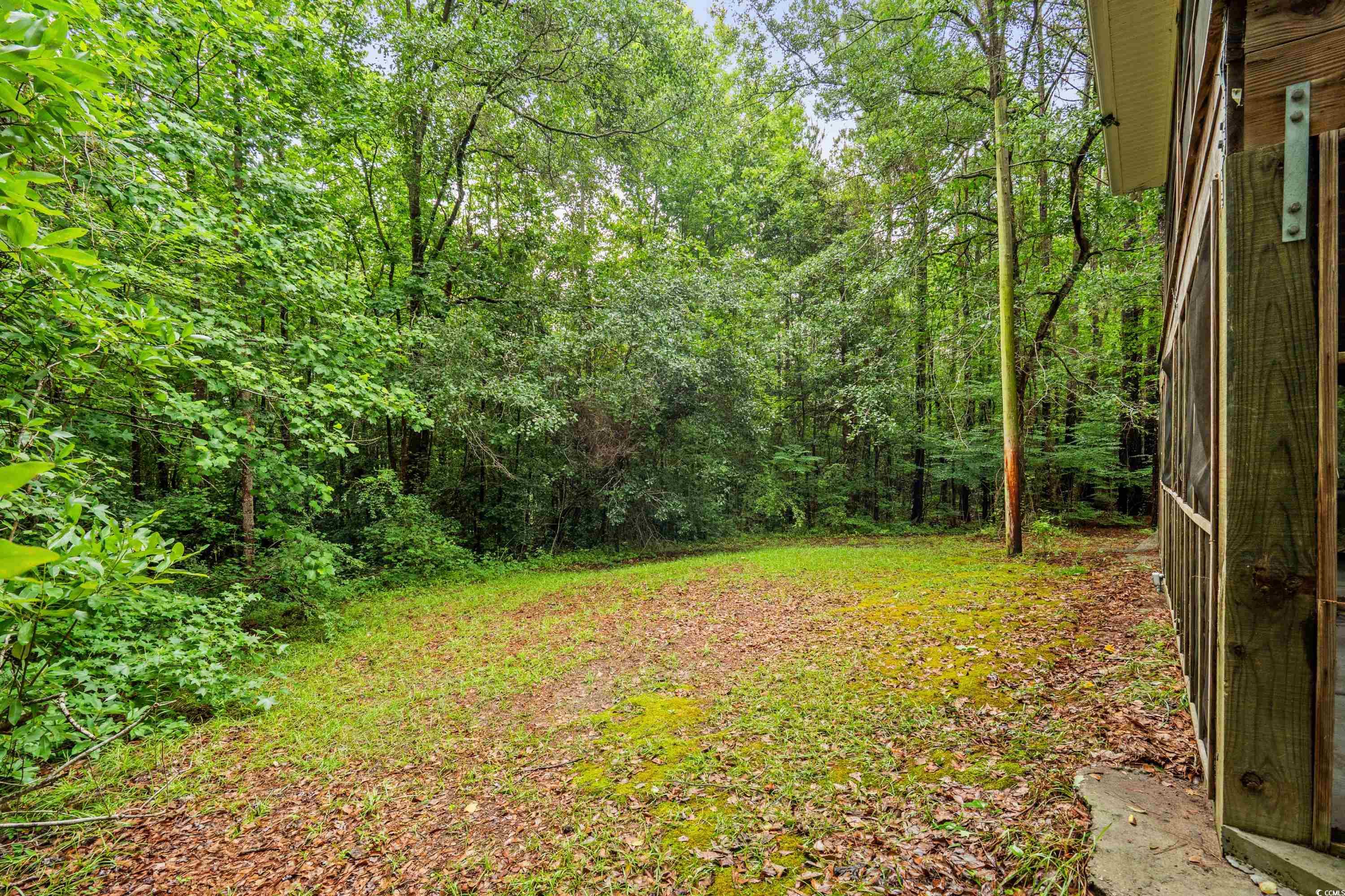 3534 Nichols Hwy., Galivants Ferry, South Carolina image 30
