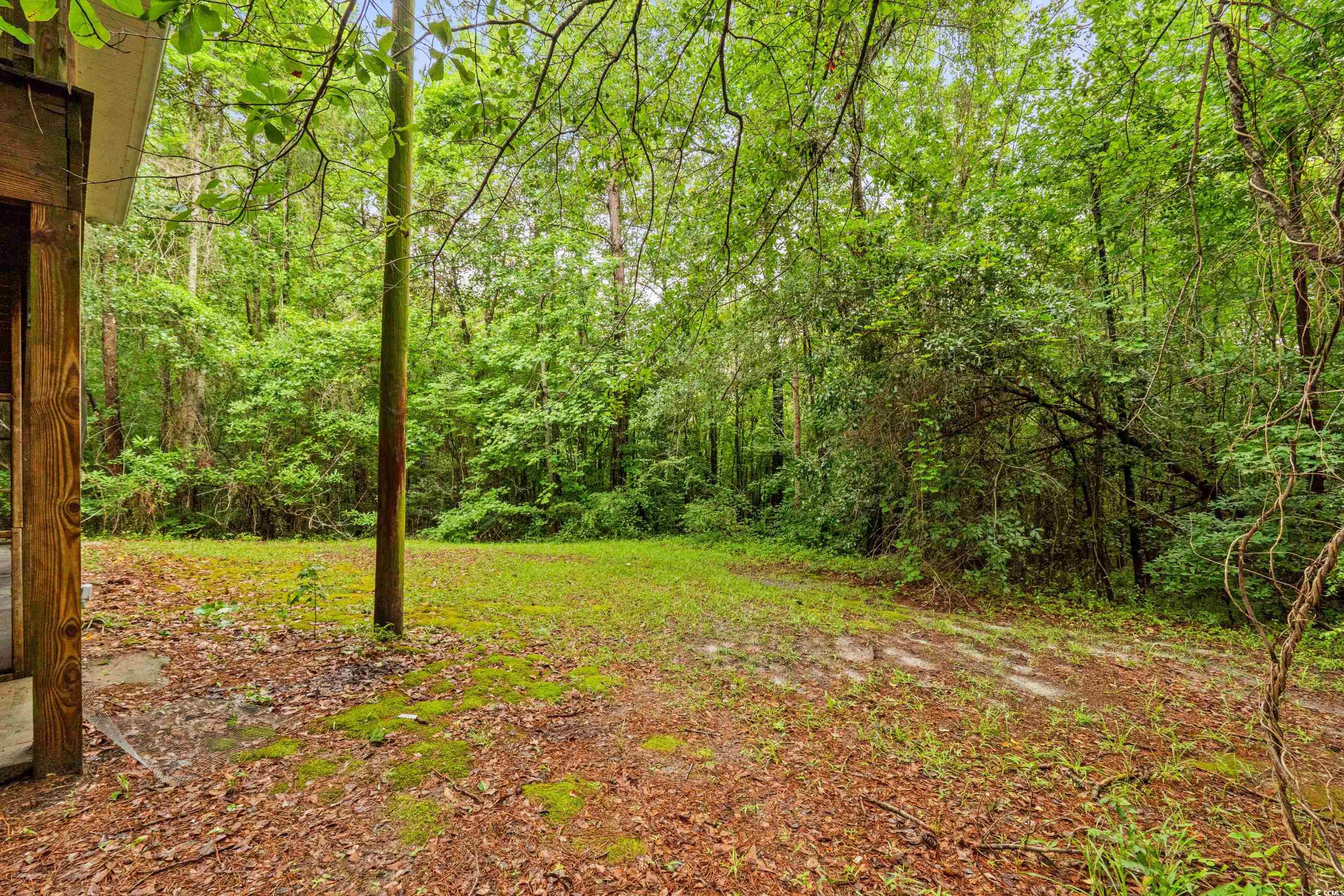 3534 Nichols Hwy., Galivants Ferry, South Carolina image 31