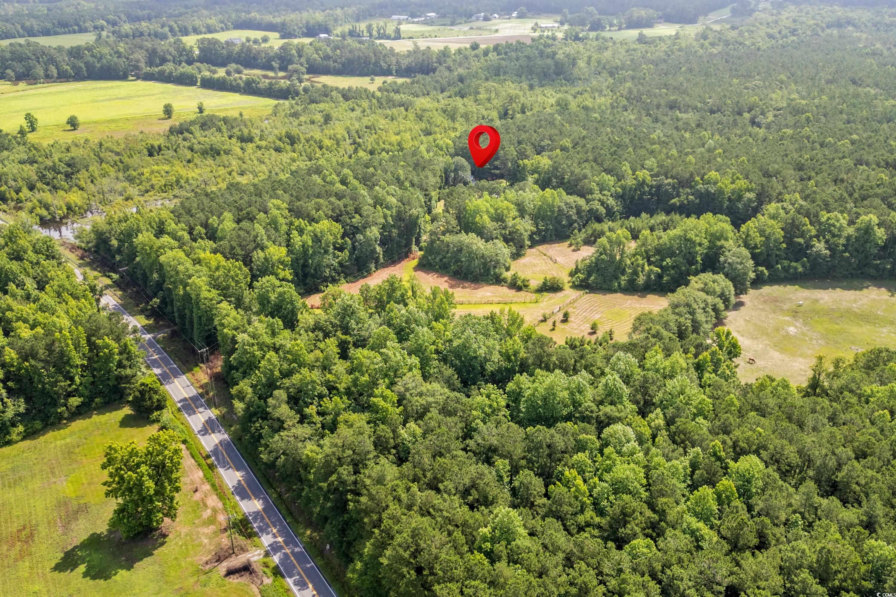 3534 Nichols Hwy., Galivants Ferry, South Carolina image 37