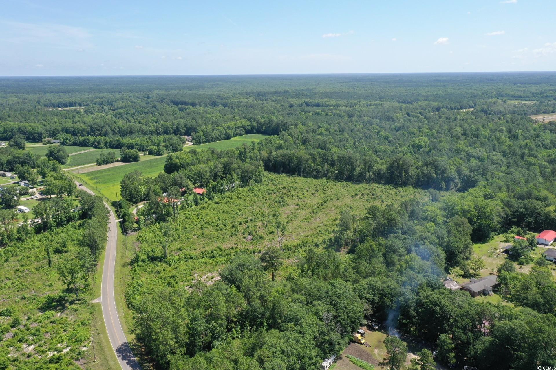 TBD Pint Circle, Longs, South Carolina image 11