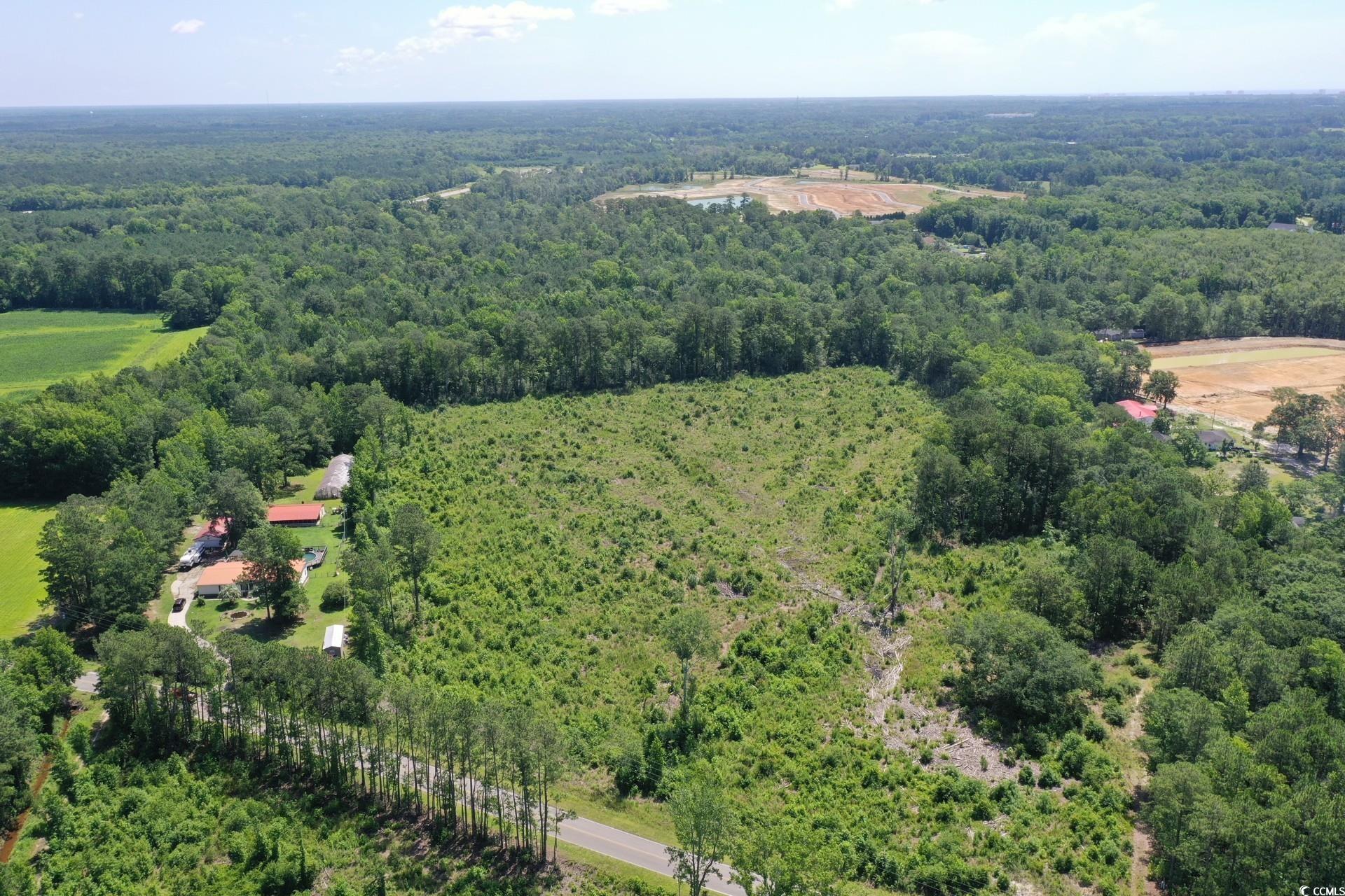 TBD Pint Circle, Longs, South Carolina image 13