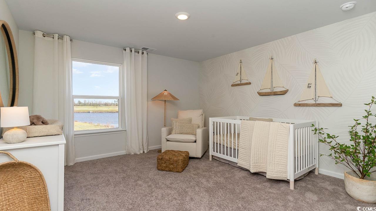 1237 Woodhouse Dr, Ash, North Carolina image 21