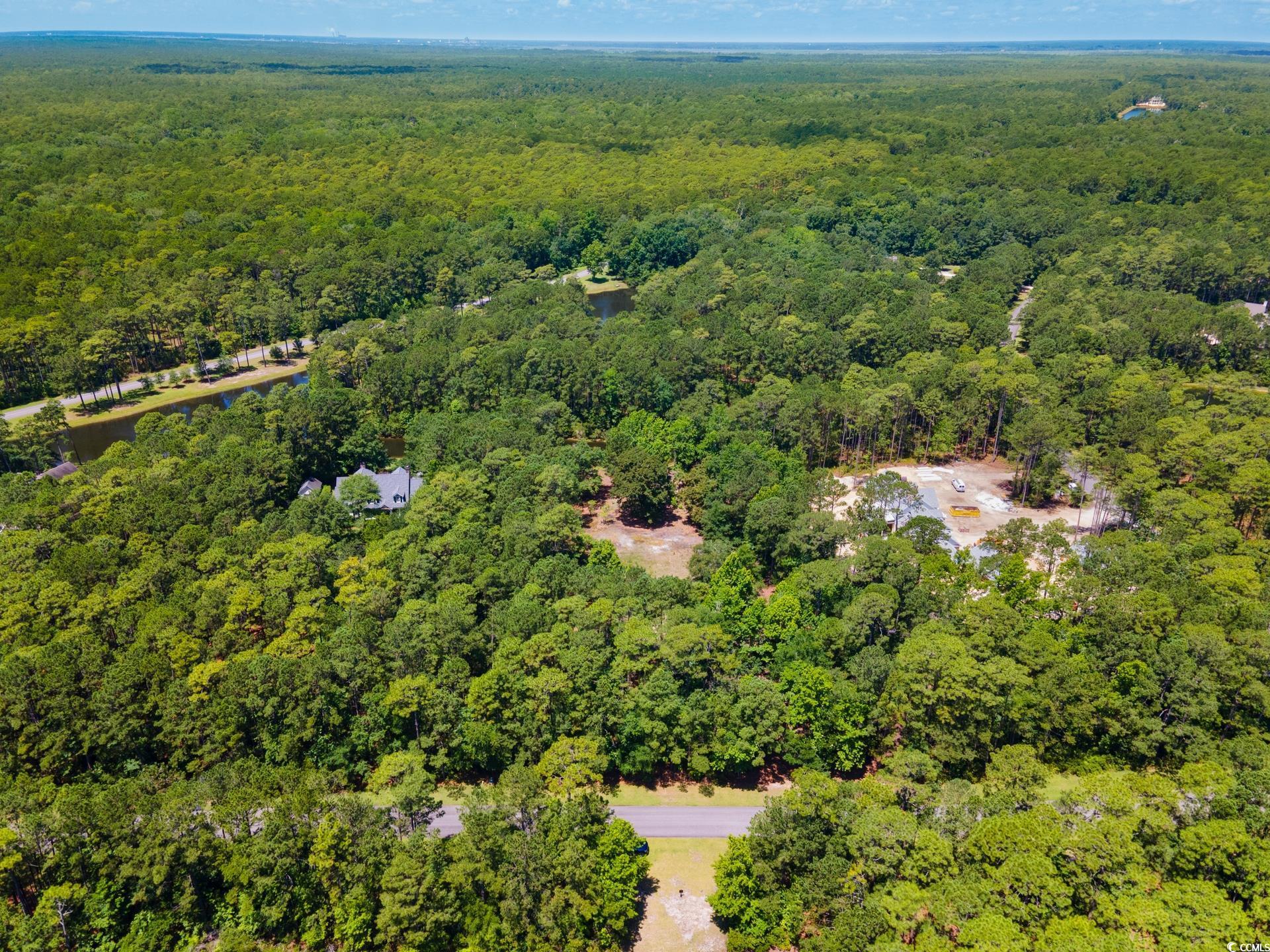 4198 Vanderbilt Blvd., Pawleys Island, South Carolina image 2