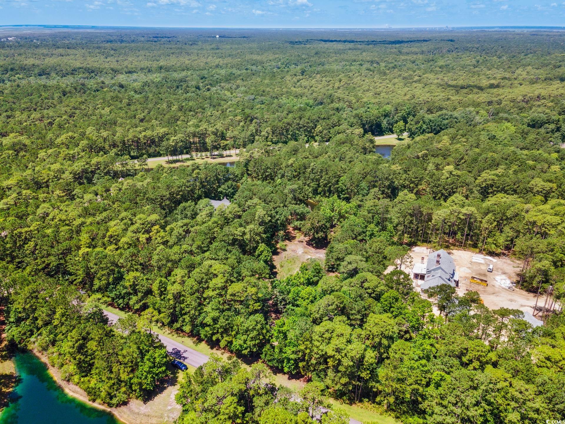 4198 Vanderbilt Blvd., Pawleys Island, South Carolina image 3