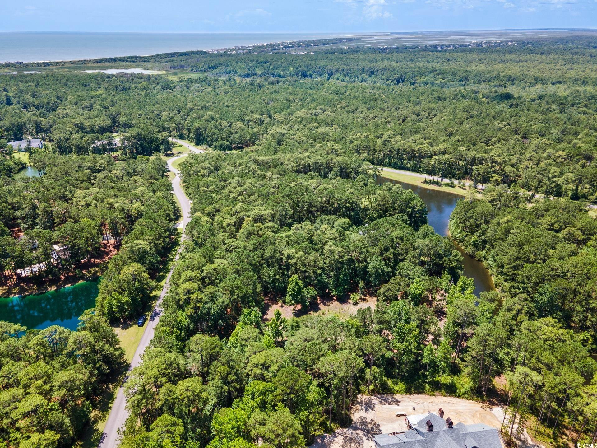 4198 Vanderbilt Blvd., Pawleys Island, South Carolina image 4