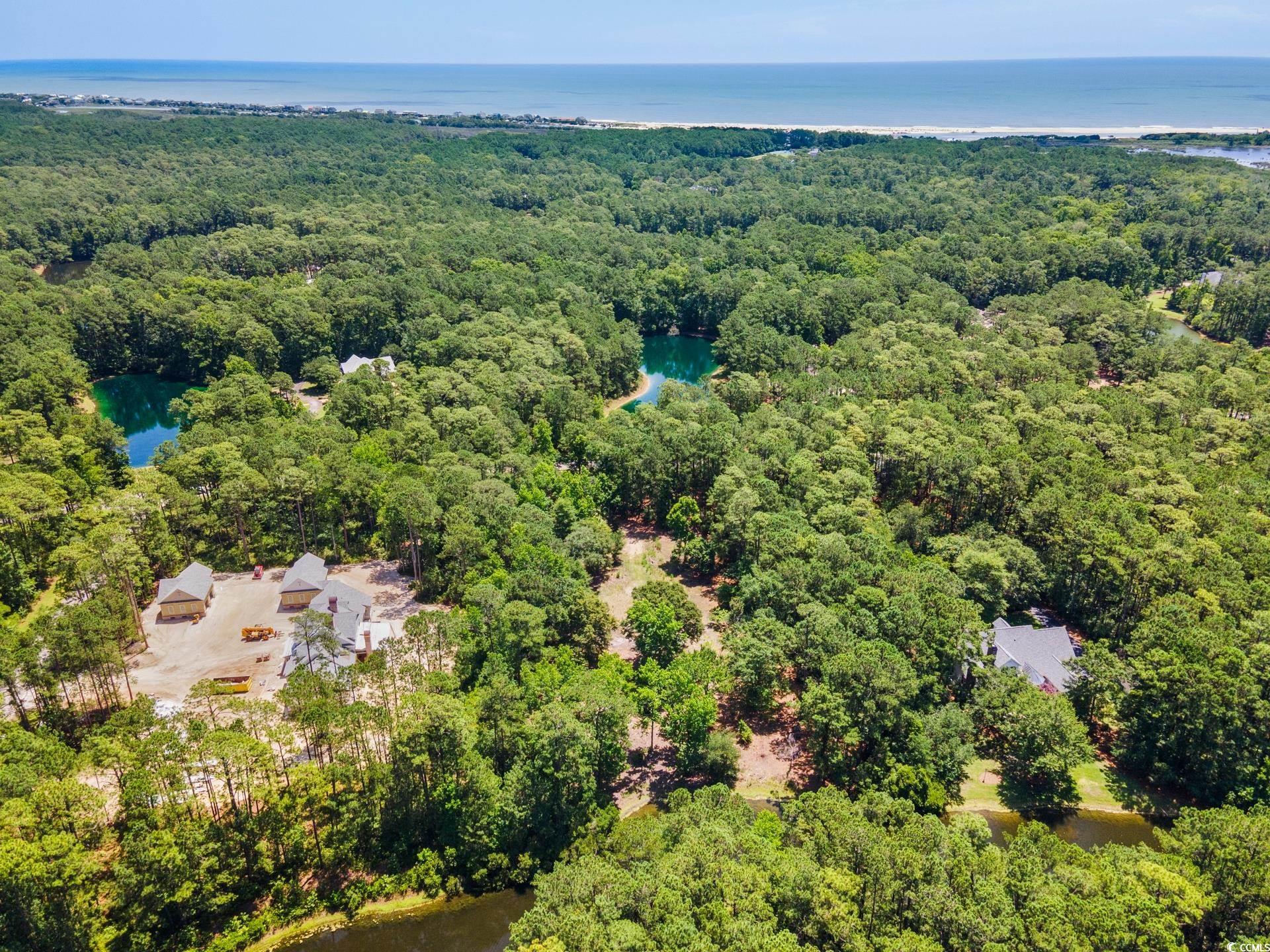 4198 Vanderbilt Blvd., Pawleys Island, South Carolina image 6