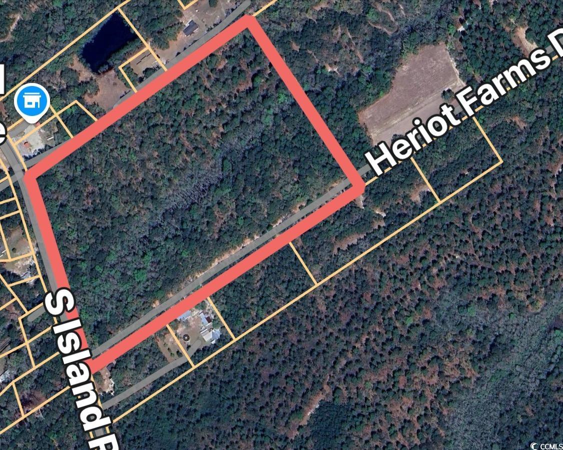 Parcel G South Island Rd., Georgetown, South Carolina image 1