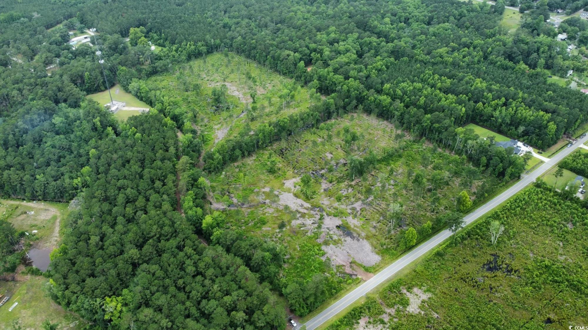 TBD 22.66 Berley Mc Rd., Conway, South Carolina image 5