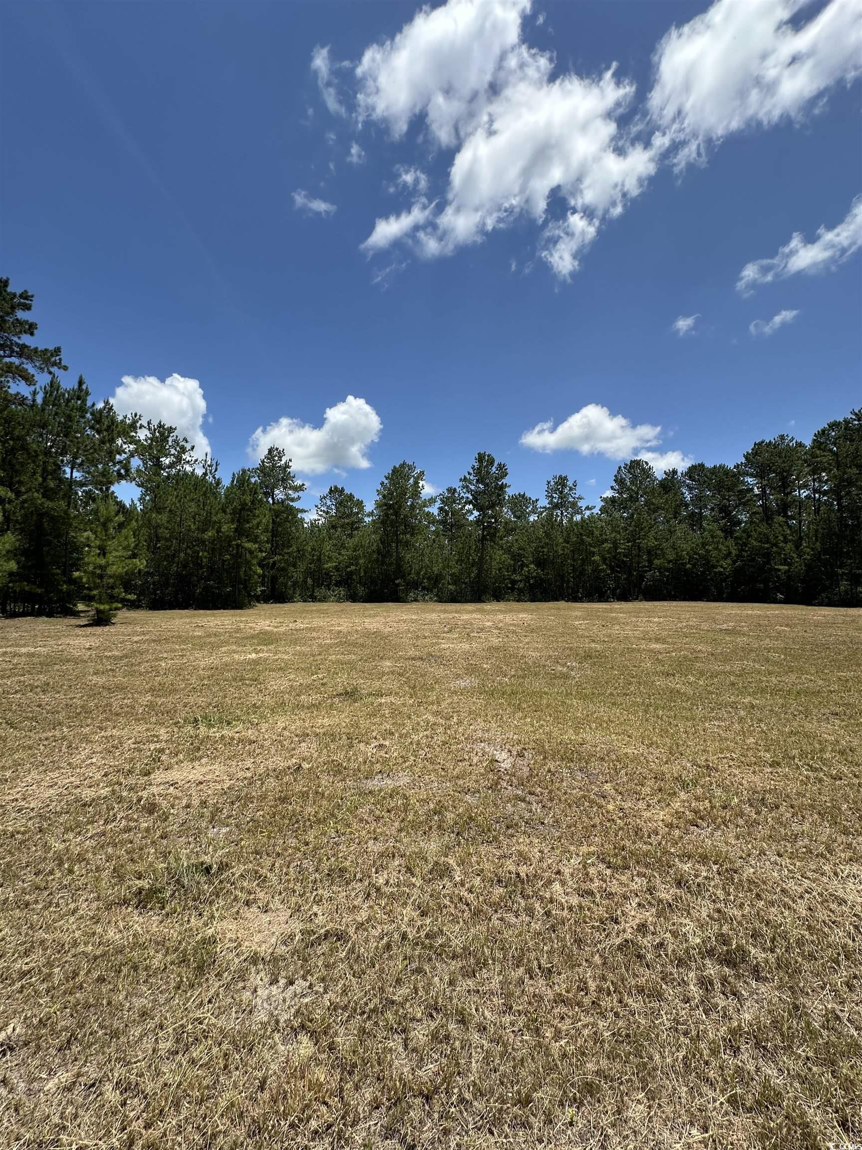 218 Samworth Loop Georgetown, SC 29440