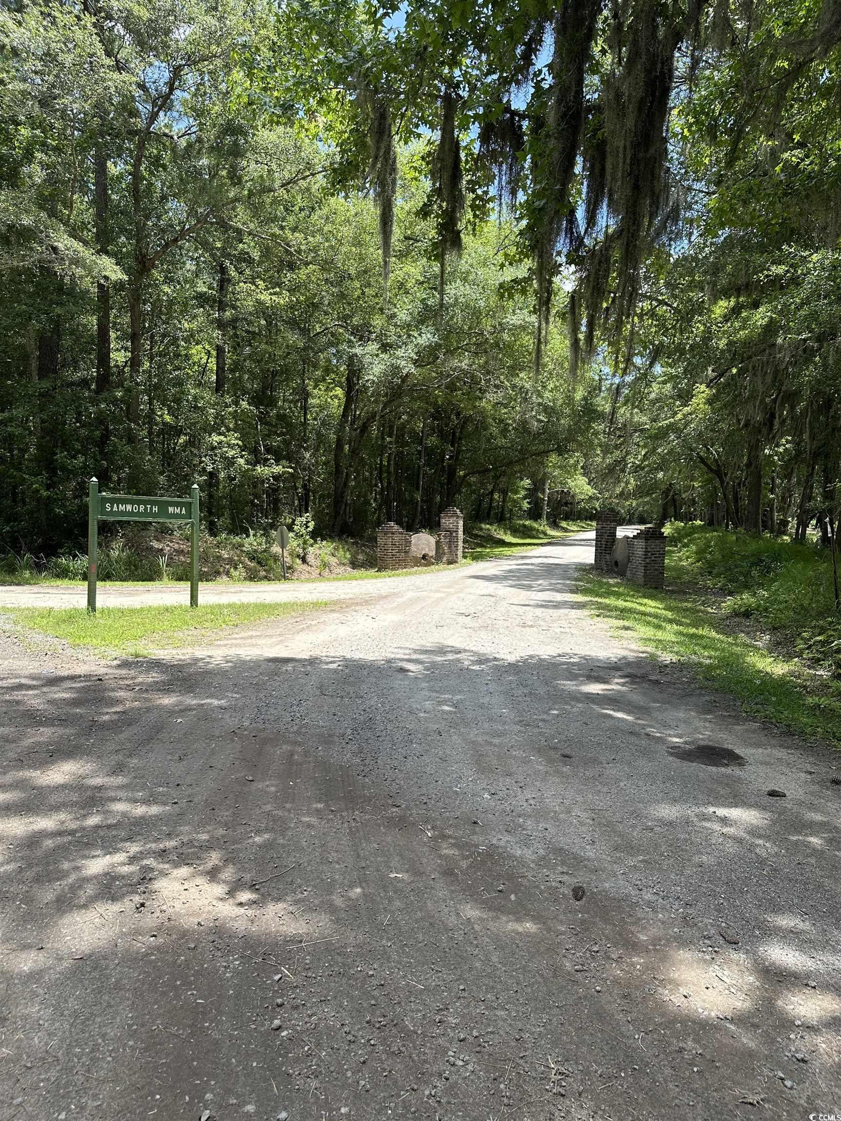 218 Samworth Loop, Georgetown, South Carolina image 12