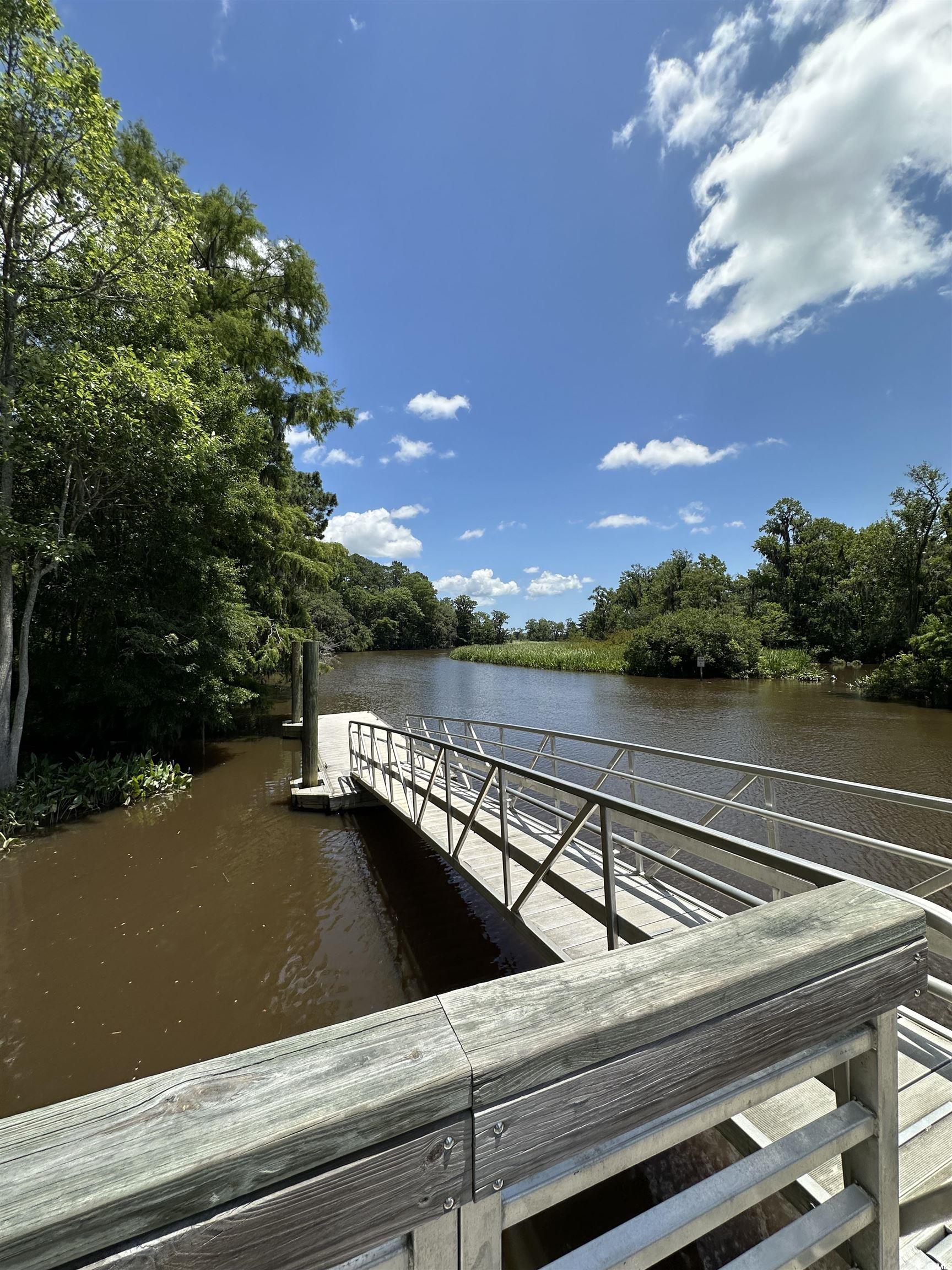 218 Samworth Loop, Georgetown, South Carolina image 14