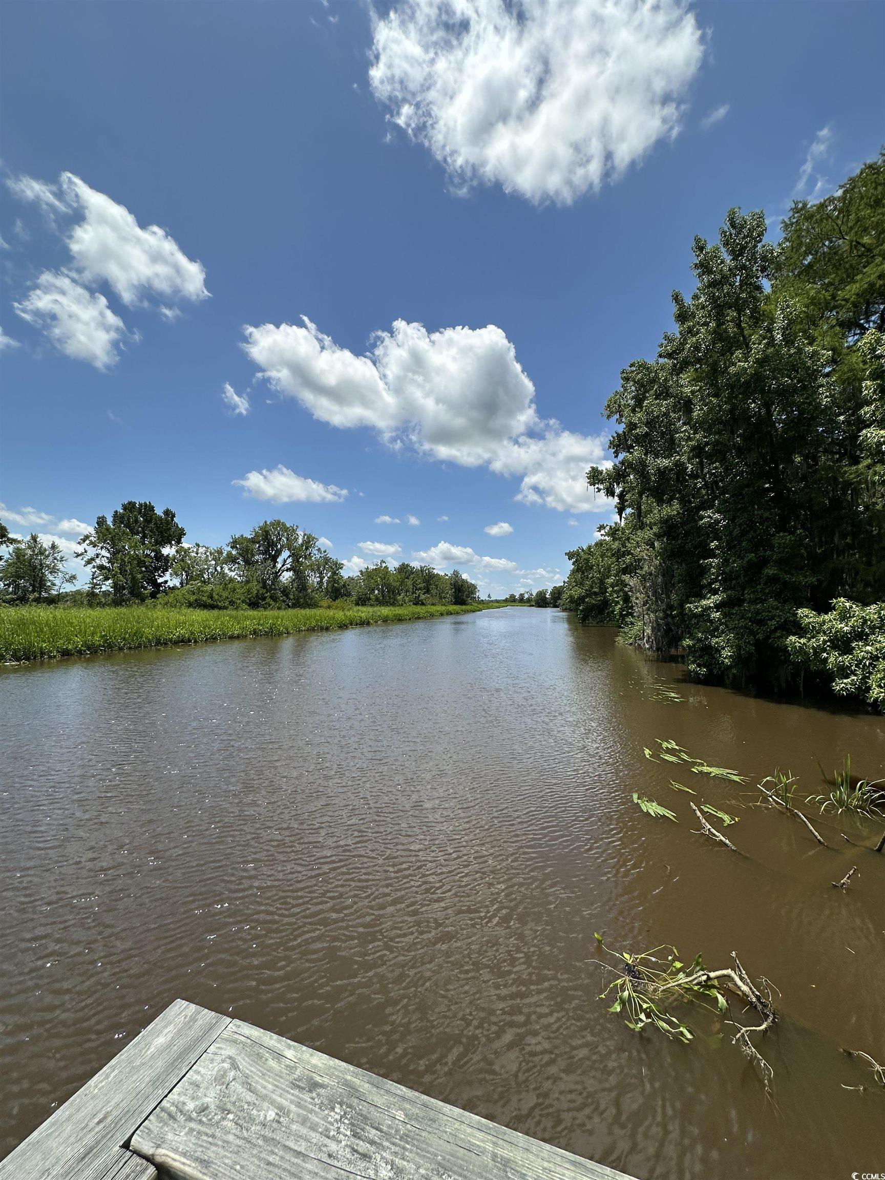 218 Samworth Loop, Georgetown, South Carolina image 15