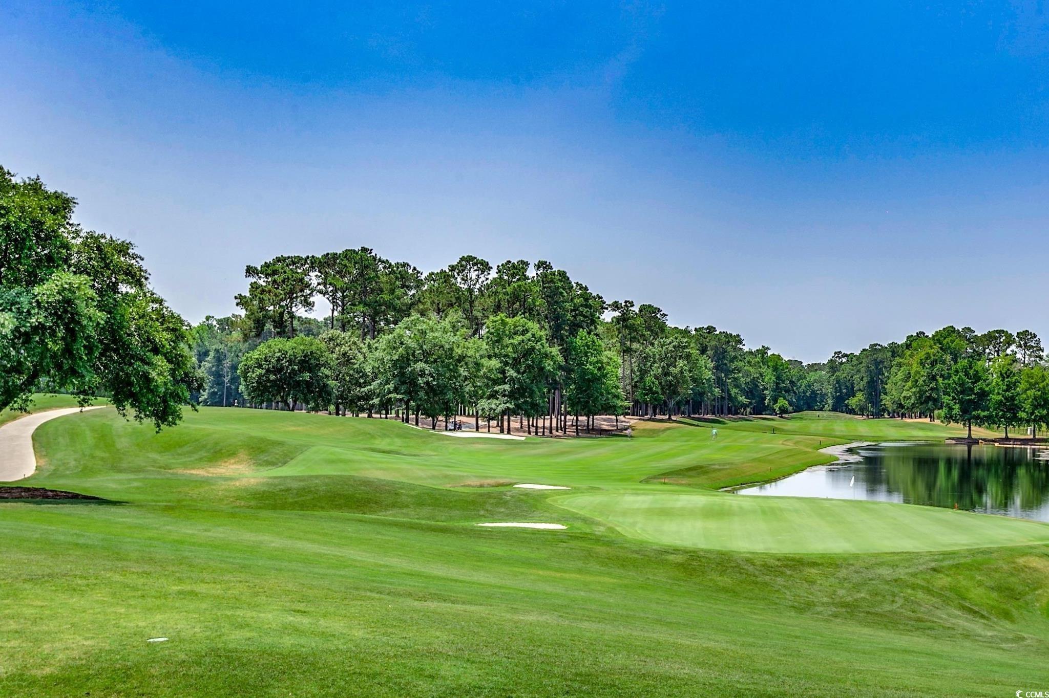 10056 Kings Rd., Myrtle Beach, South Carolina image 31