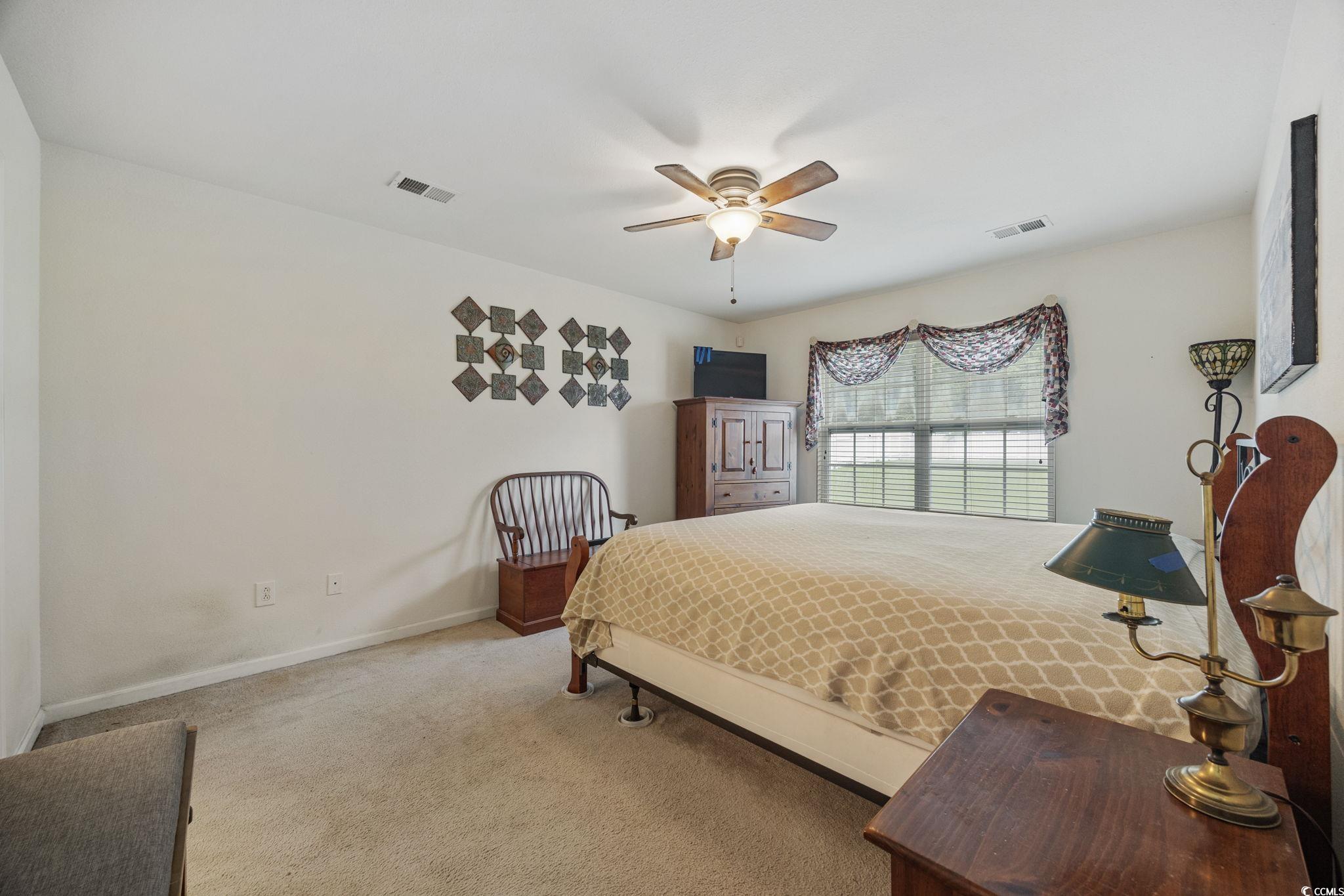 195 Black Pepper Loop, Little River, South Carolina image 19