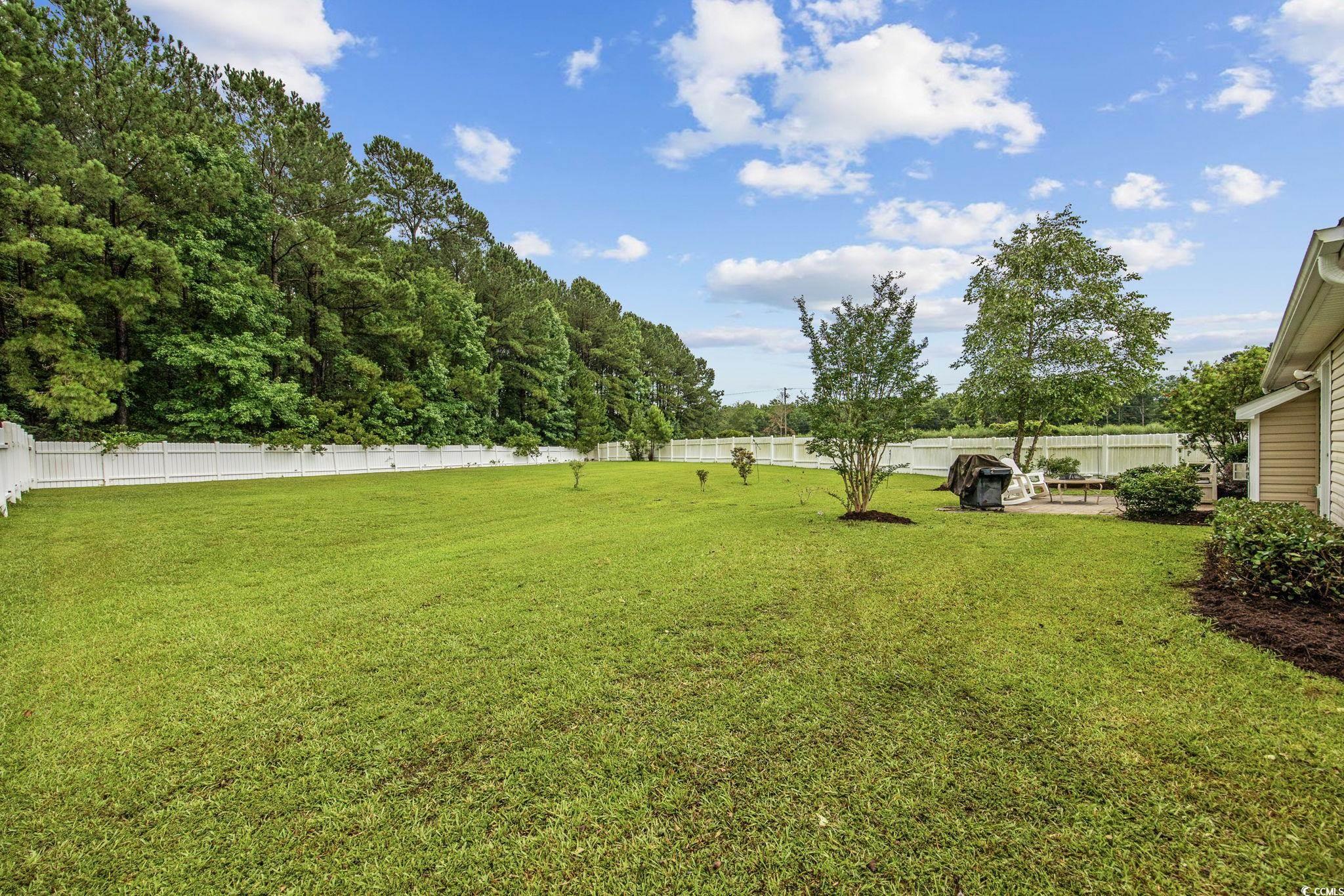 195 Black Pepper Loop, Little River, South Carolina image 2