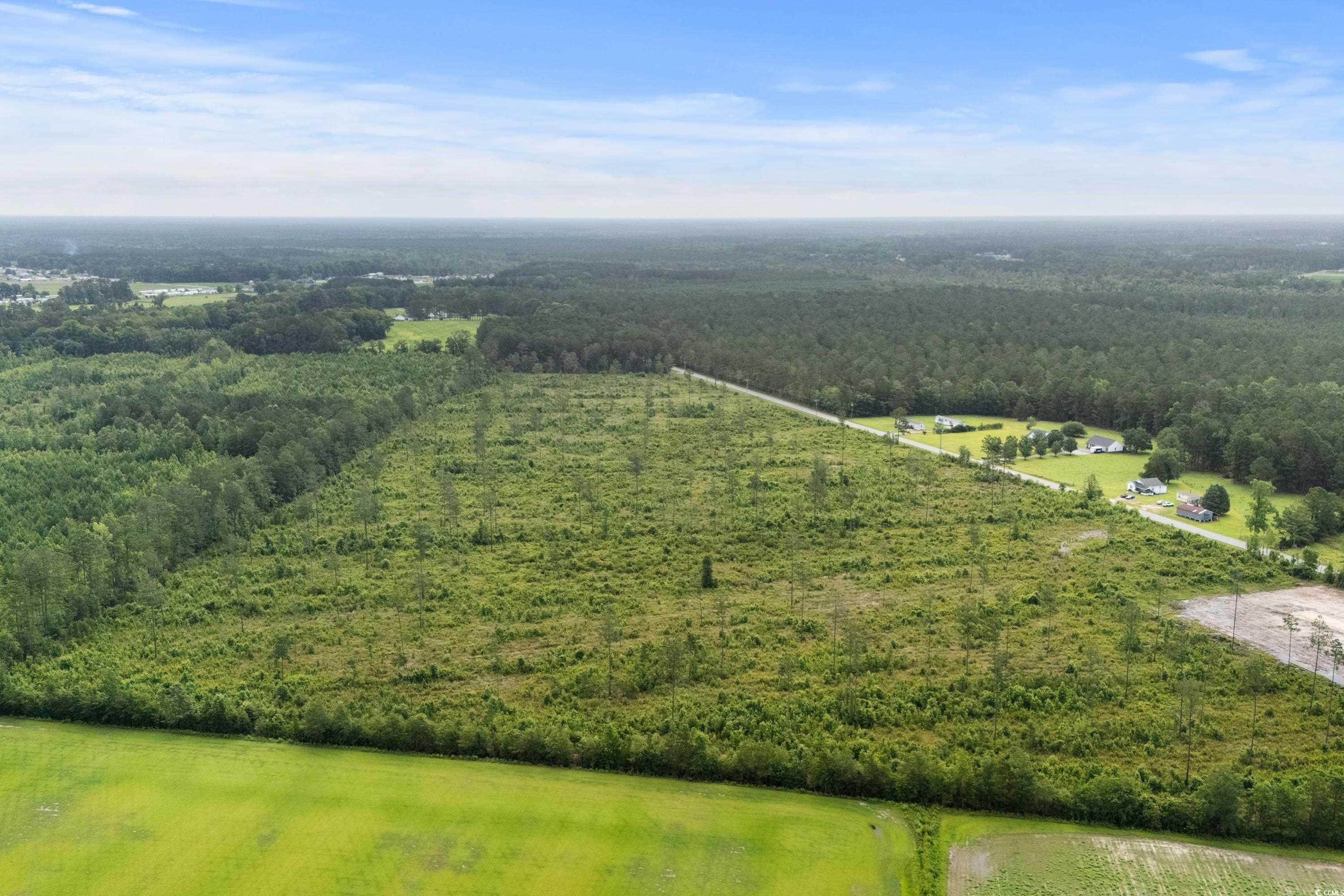 6190 Hendricks Short-cut Rd., Conway, South Carolina image 13