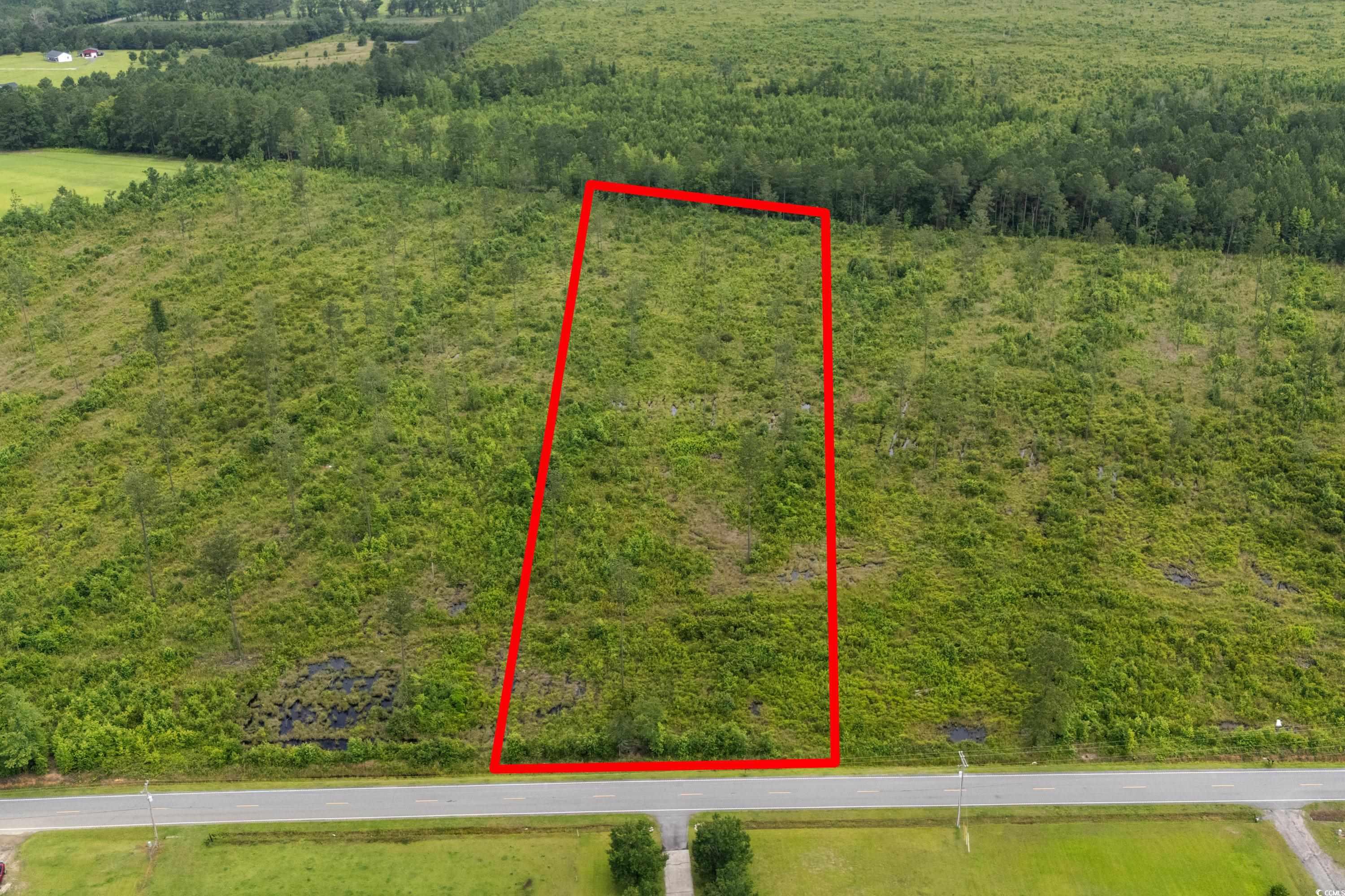 6190 Hendricks Short-cut Rd., Conway, South Carolina image 3