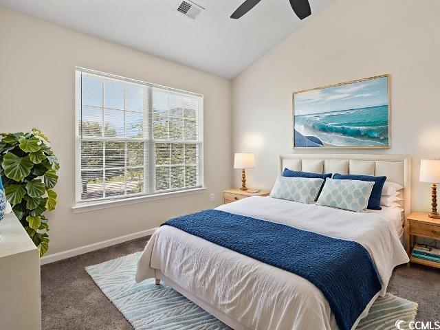 3017 Mercer Dr., Conway, South Carolina image 20