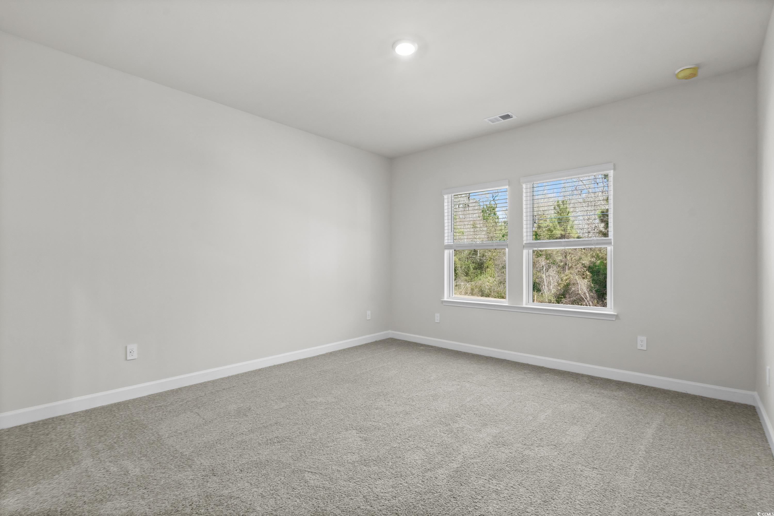 8249 Vibrant Loop, Longs, South Carolina image 19