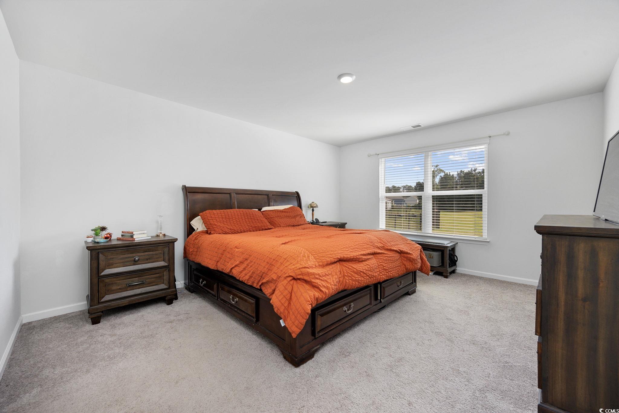 417 Spruce Pine Way, Conway, South Carolina image 15