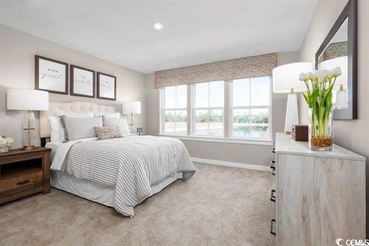 536 Ryegrass Way #0029C, Murrells Inlet, South Carolina image 13