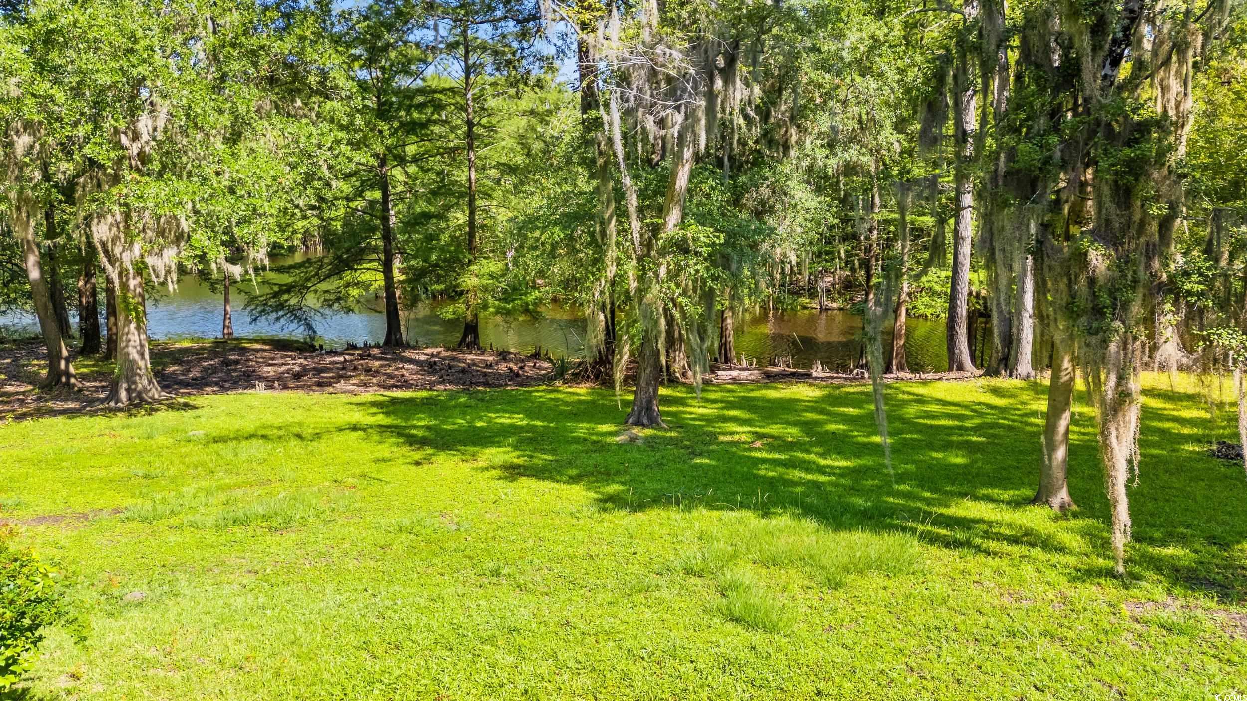 1032 Chelsey Circle, Conway, South Carolina image 25