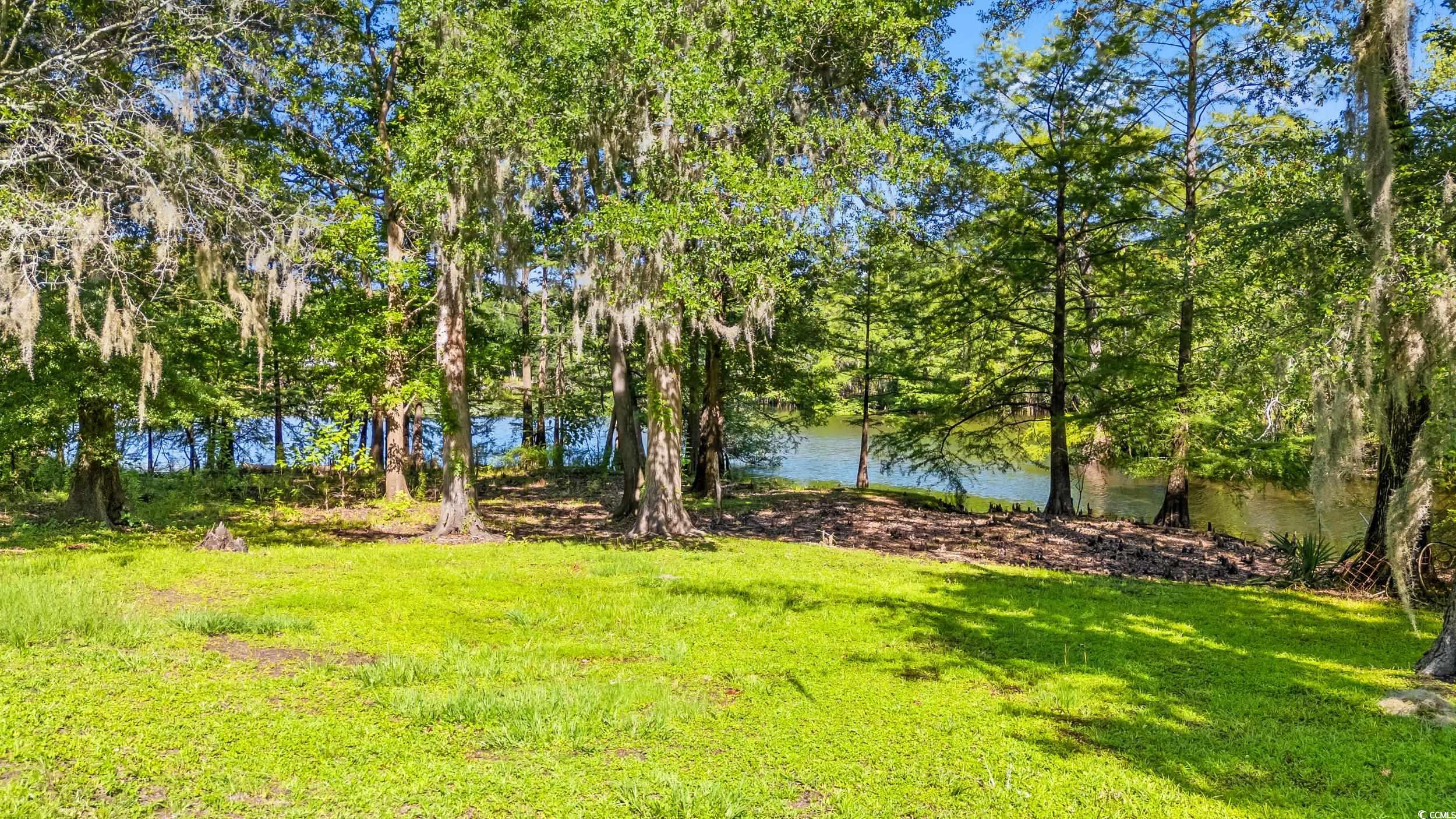 1032 Chelsey Circle, Conway, South Carolina image 3