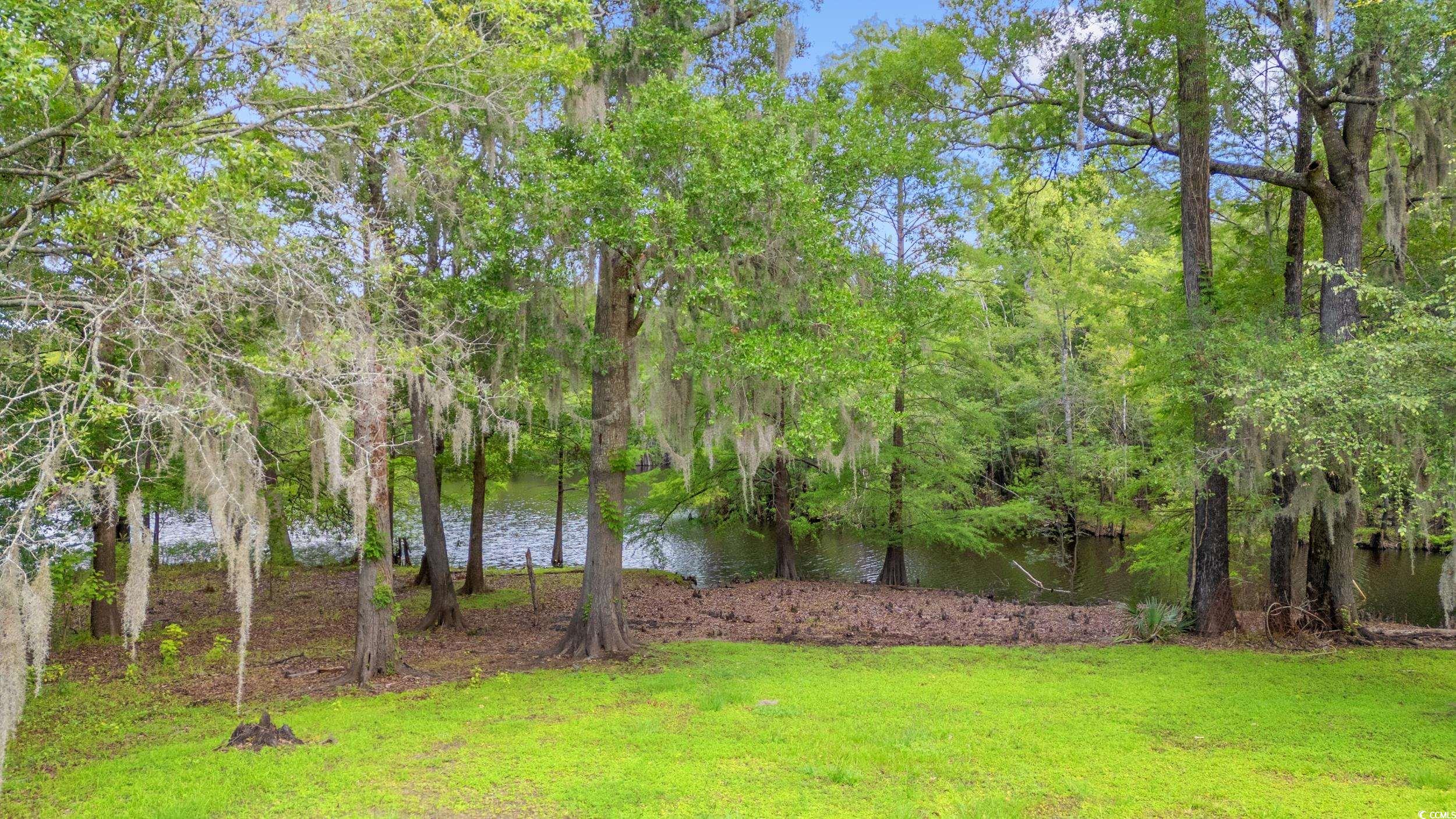 1032 Chelsey Circle, Conway, South Carolina image 30