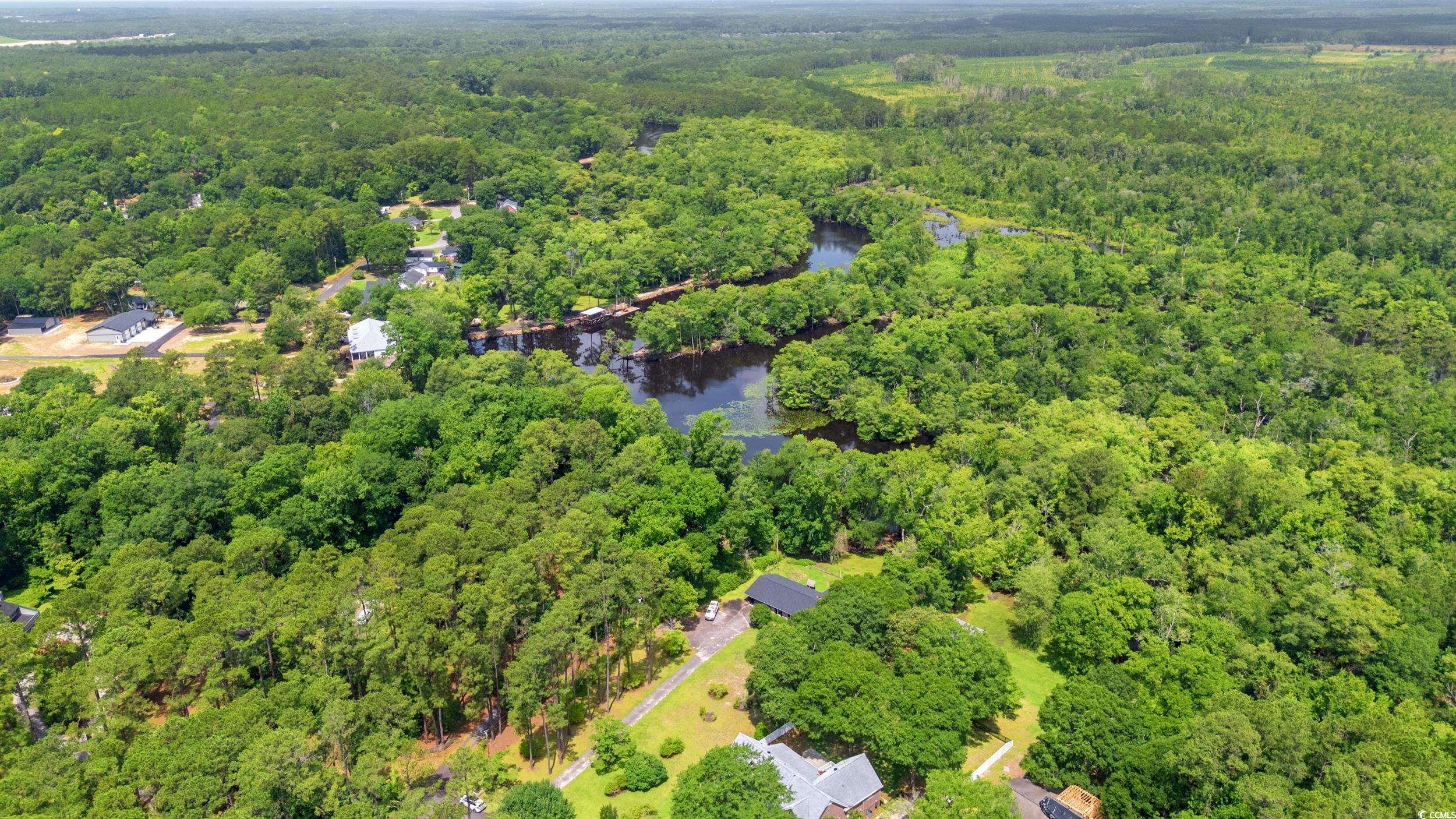 1032 Chelsey Circle, Conway, South Carolina image 37
