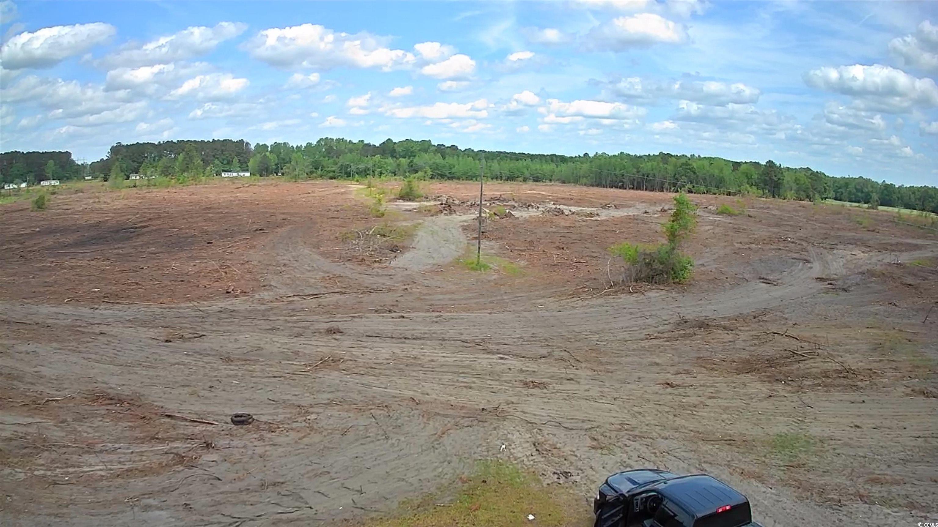 TBD East Leitner Extension, Latta, South Carolina image 5