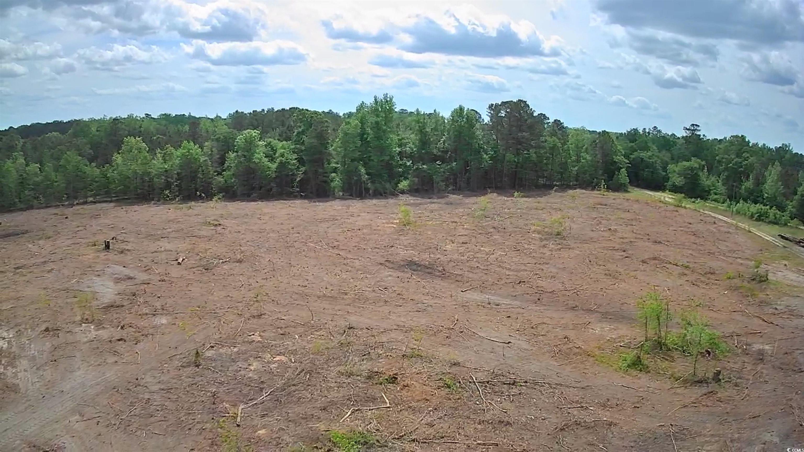 TBD East Leitner Extension, Latta, South Carolina image 6