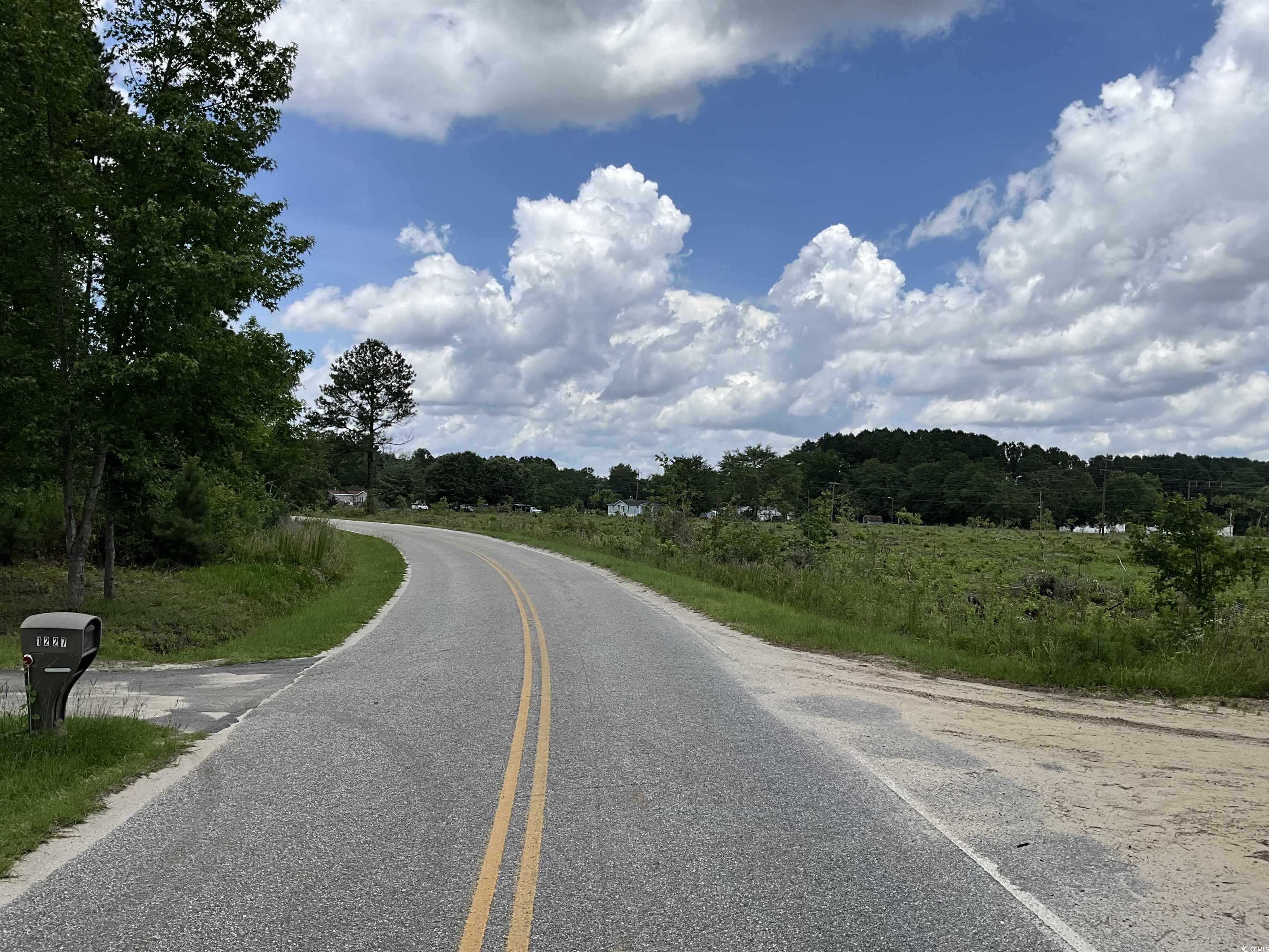 TBD East Leitner Extension, Latta, South Carolina image 7