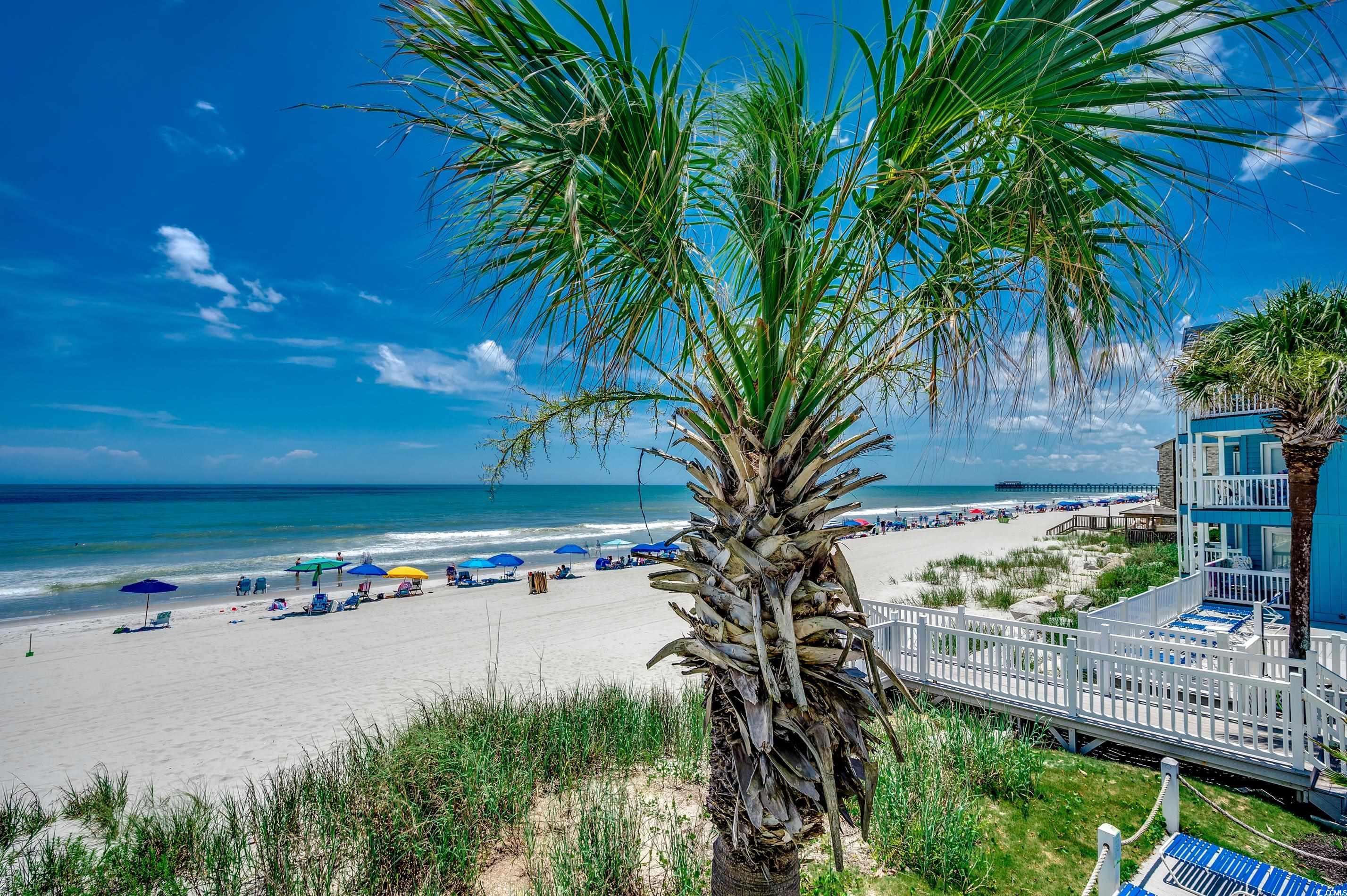 720 N Waccamaw Dr. #205, Garden City Beach, South Carolina image 12