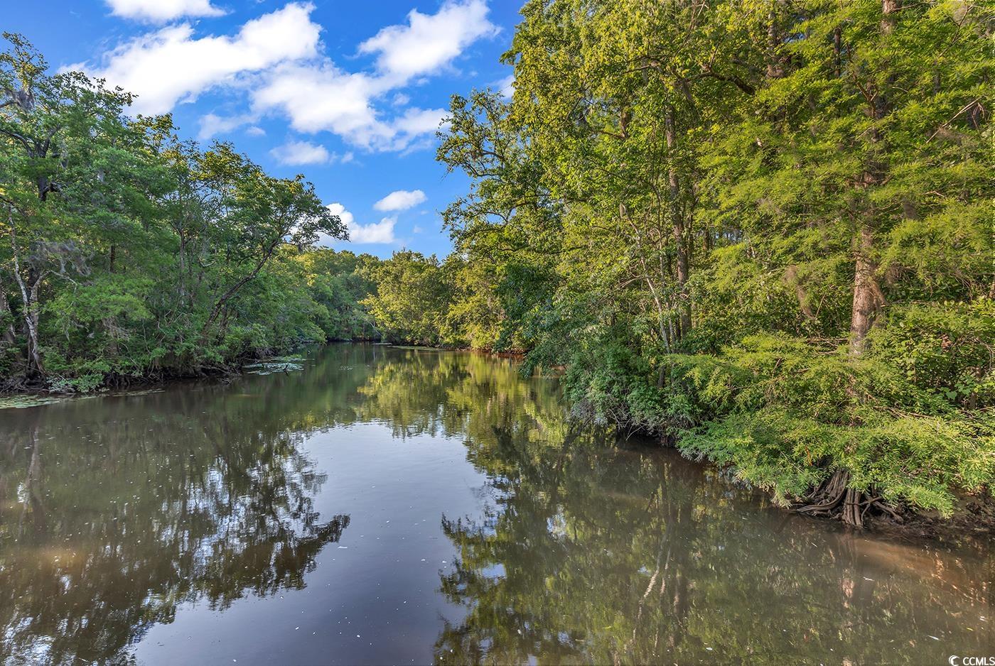 128 Knotty Pine Way, Murrells Inlet, South Carolina image 34