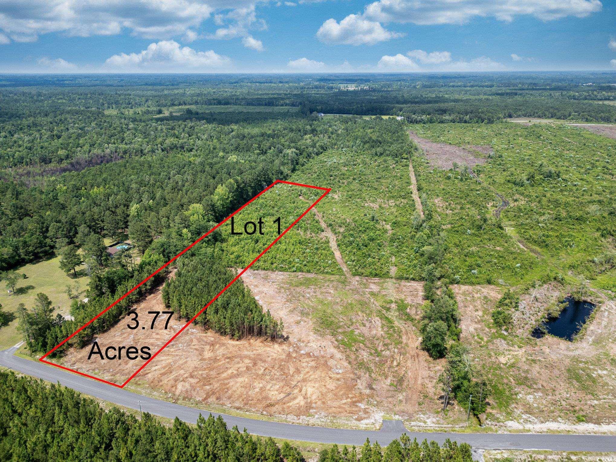 Lot 1 Myrtle Ridge Dr., Conway, South Carolina image 1