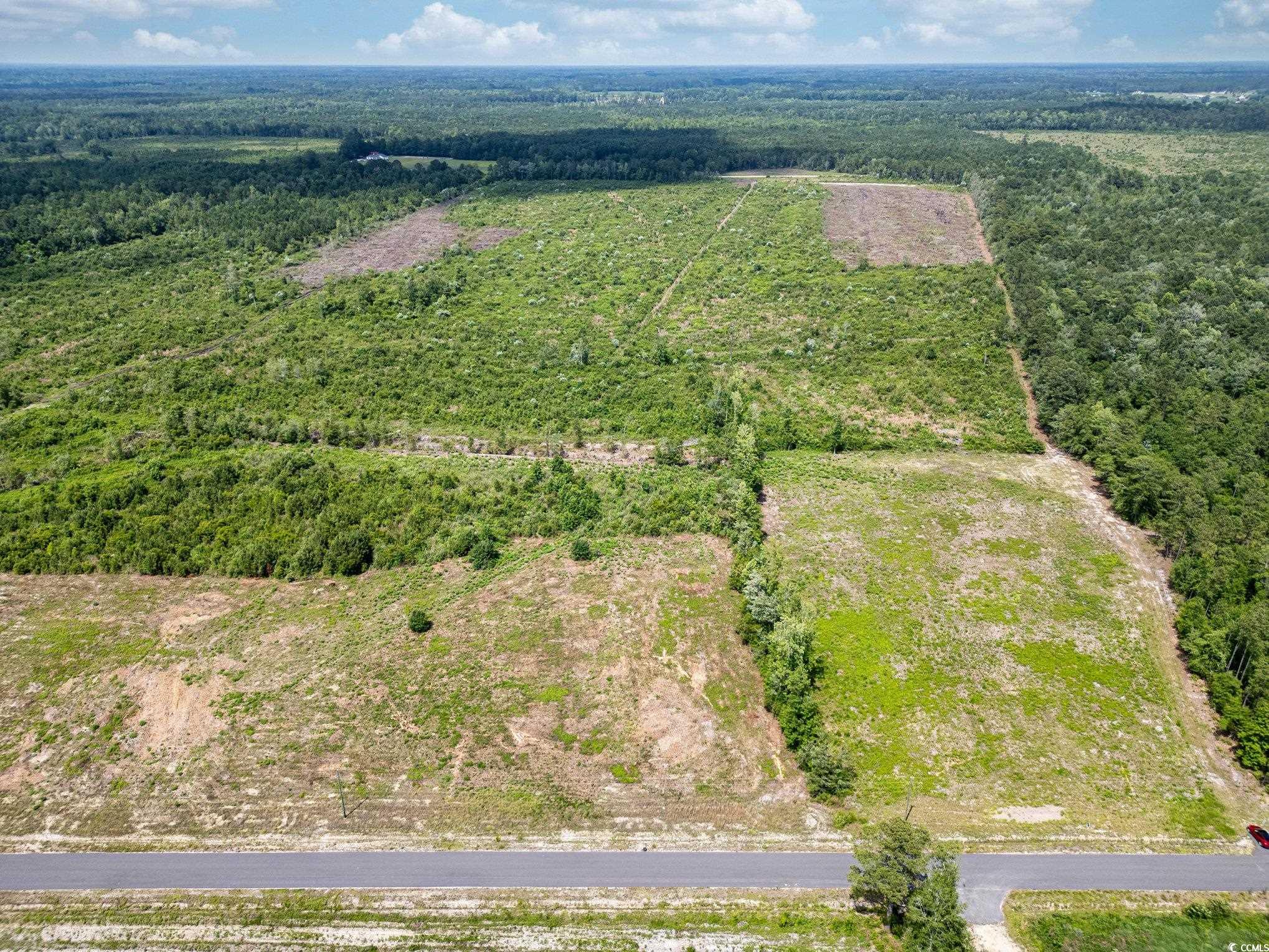 Lot 1 Myrtle Ridge Dr., Conway, South Carolina image 2