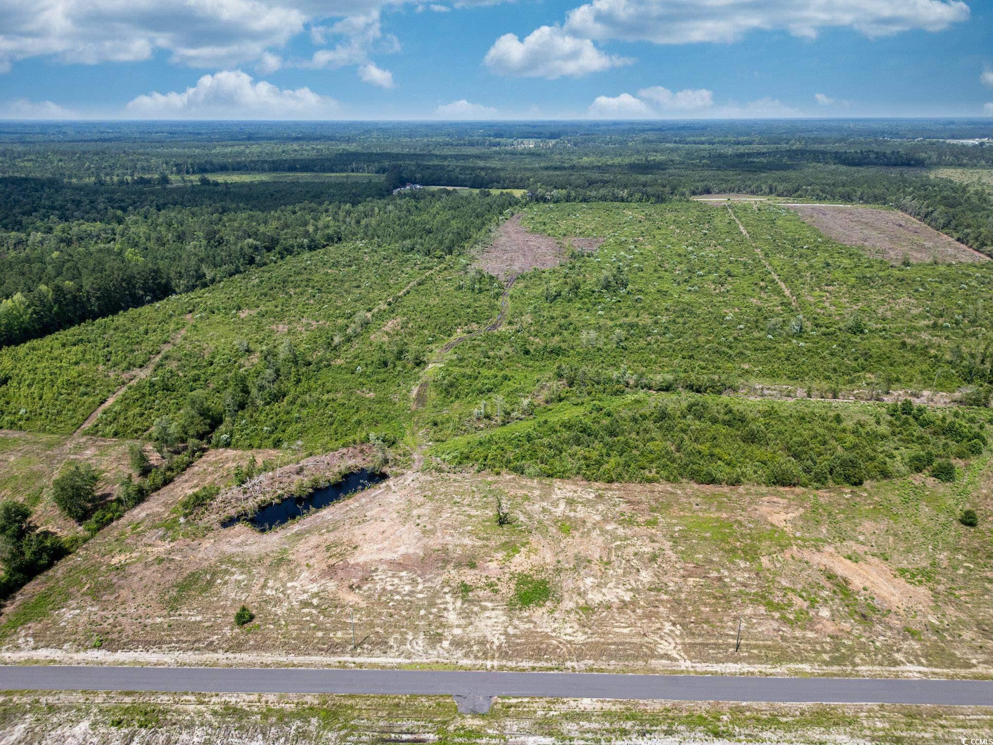 Lot 1 Myrtle Ridge Dr., Conway, South Carolina image 5