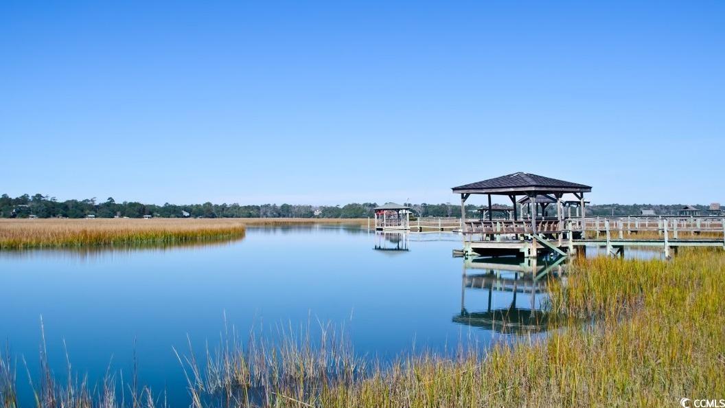 88 Henderson Way, Pawleys Island, South Carolina image 3