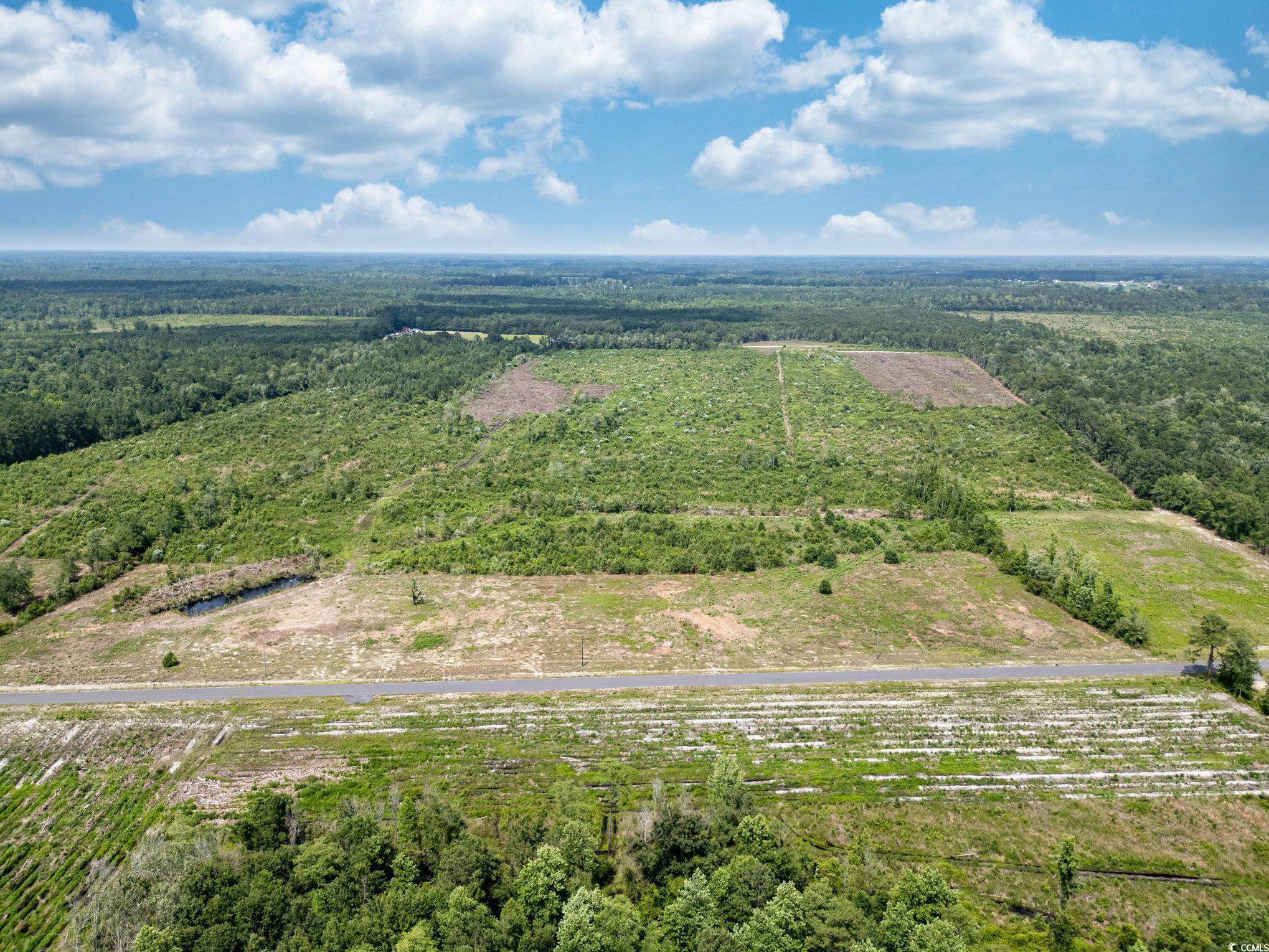 Lot 2 Myrtle Ridge Dr., Conway, South Carolina image 10
