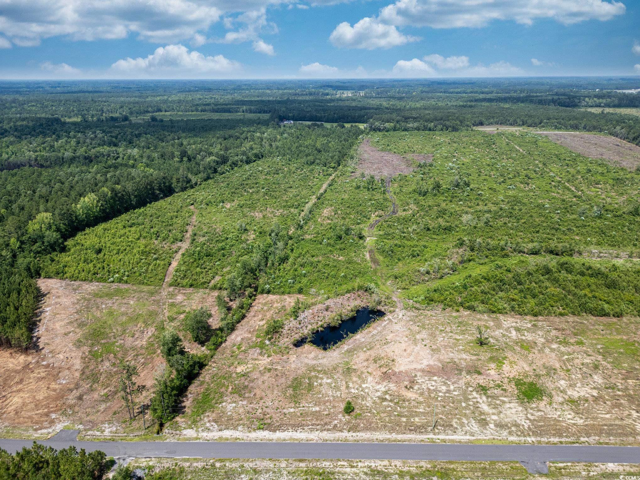 Lot 2 Myrtle Ridge Dr., Conway, South Carolina image 6