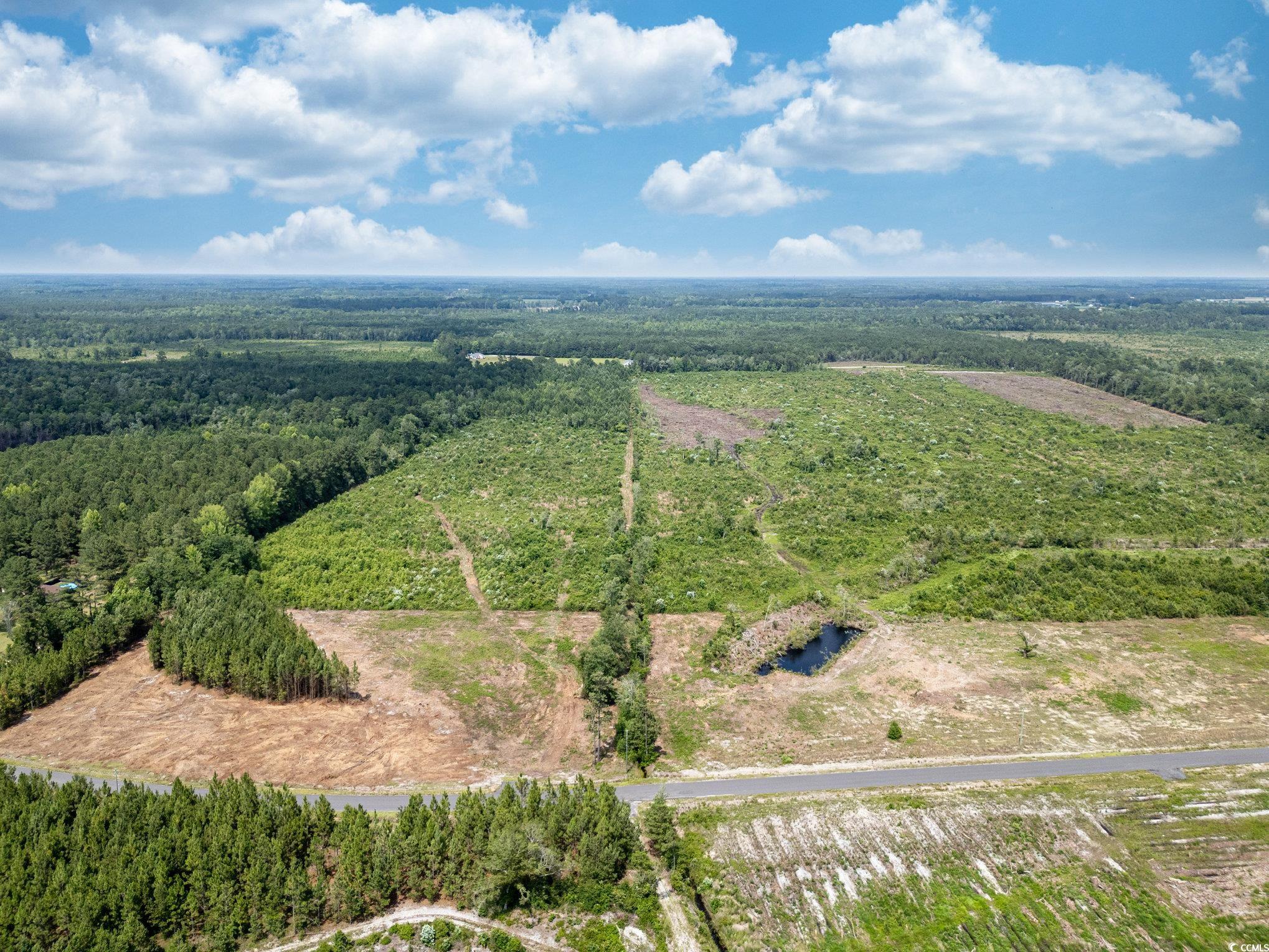Lot 2 Myrtle Ridge Dr., Conway, South Carolina image 9