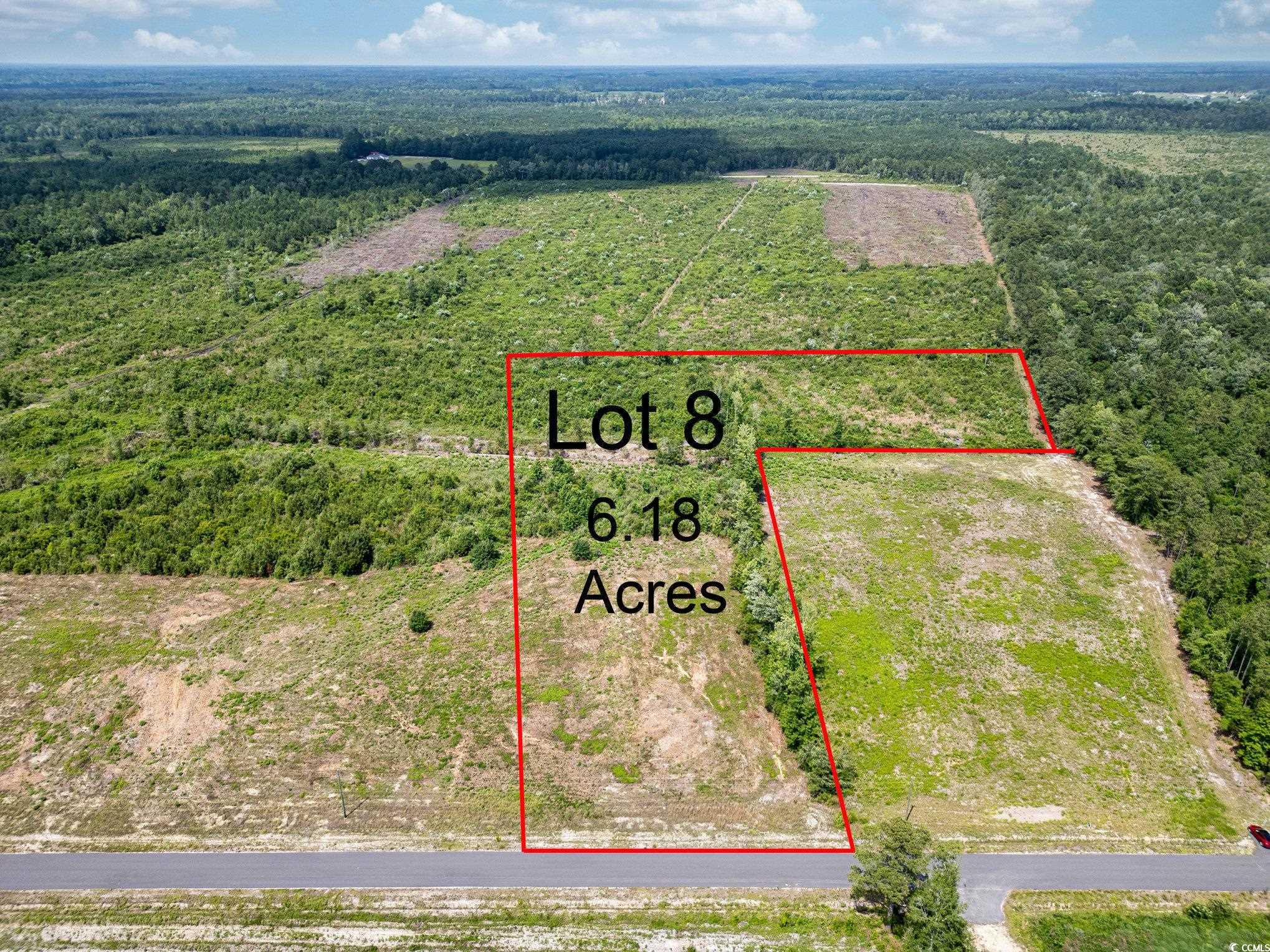 TBD Bellaire Dr. Nichols, SC 29581