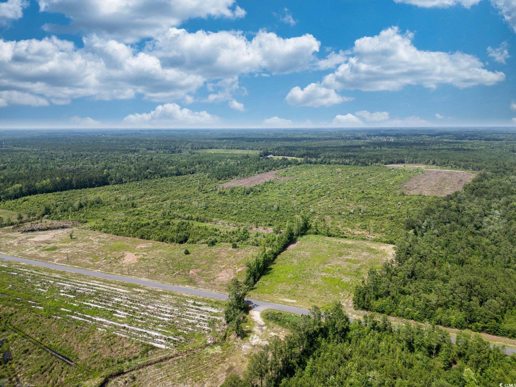 Lot 3 Myrtle Ridge Dr., Conway, South Carolina image 11